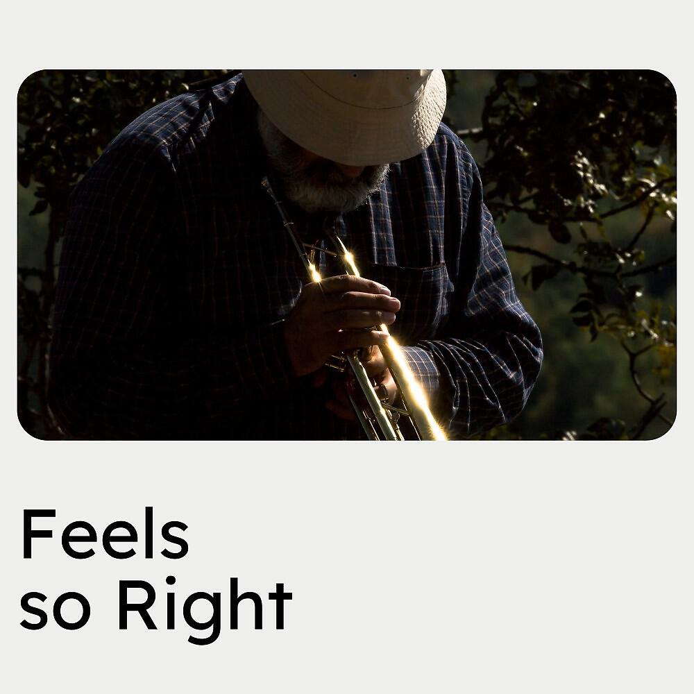 Постер альбома Feels so Right