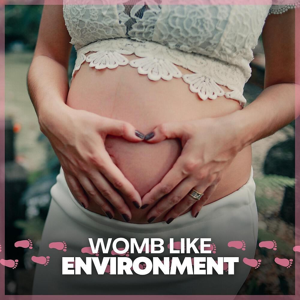 Релиз Womb Like Environment