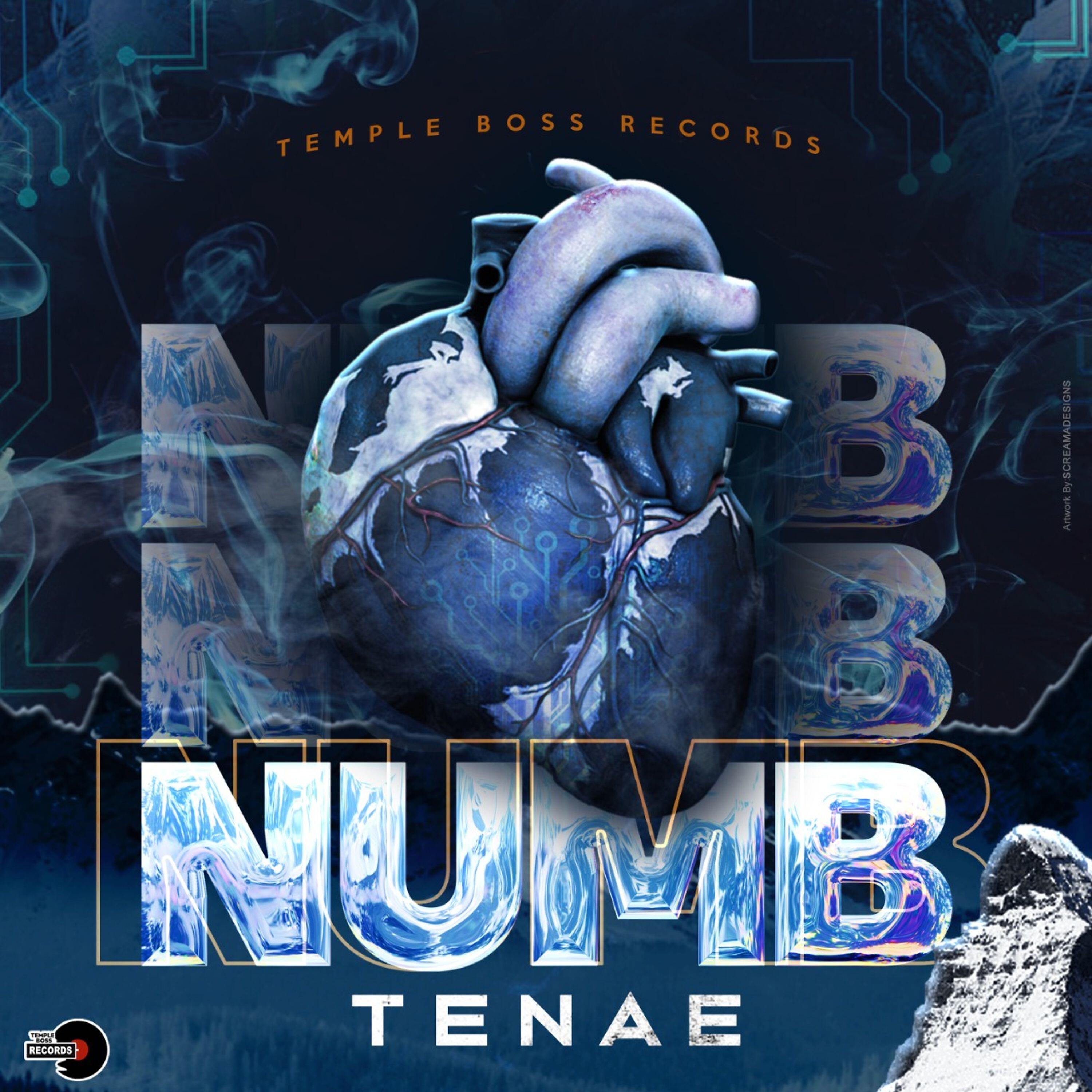 Релиз Numb