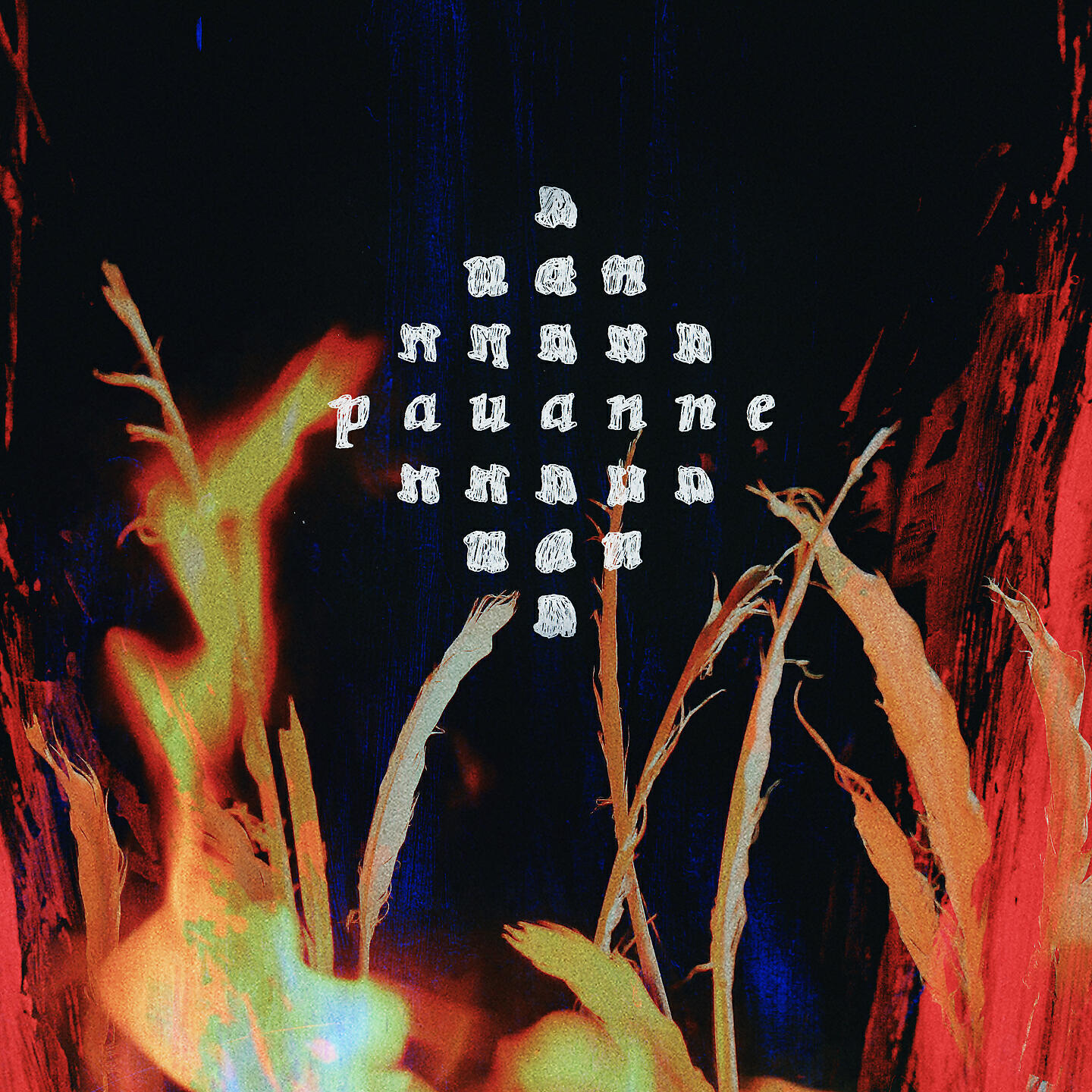 Pauanne