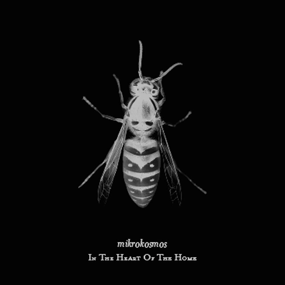 Релиз In The Heart Of The Home