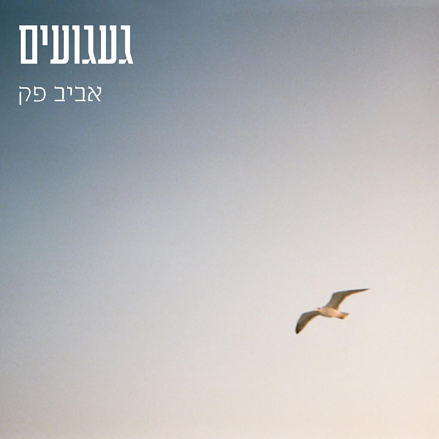 Релиз געגועים