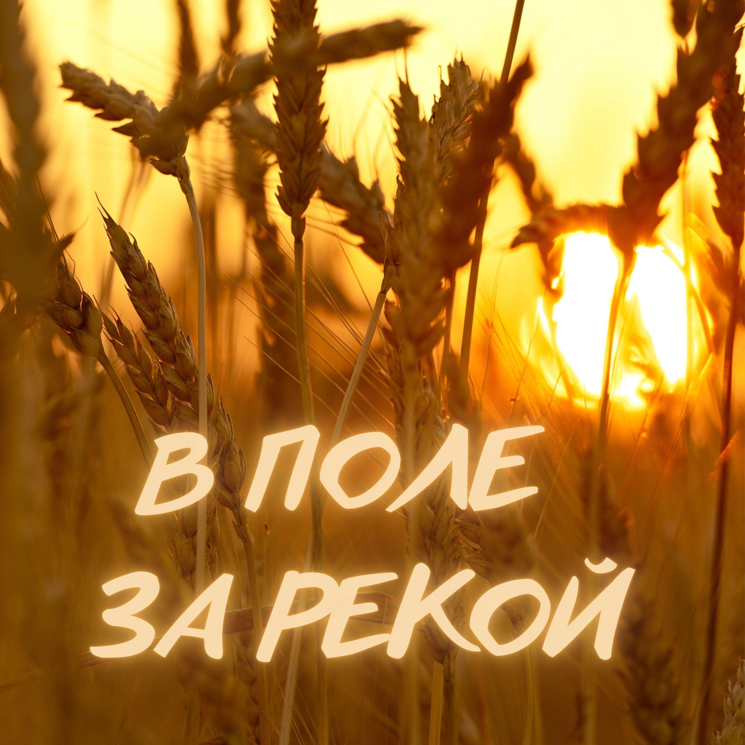 Релиз В поле за рекой