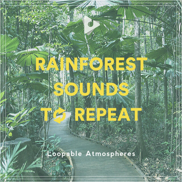 Релиз Rainforest Sounds To Repeat
