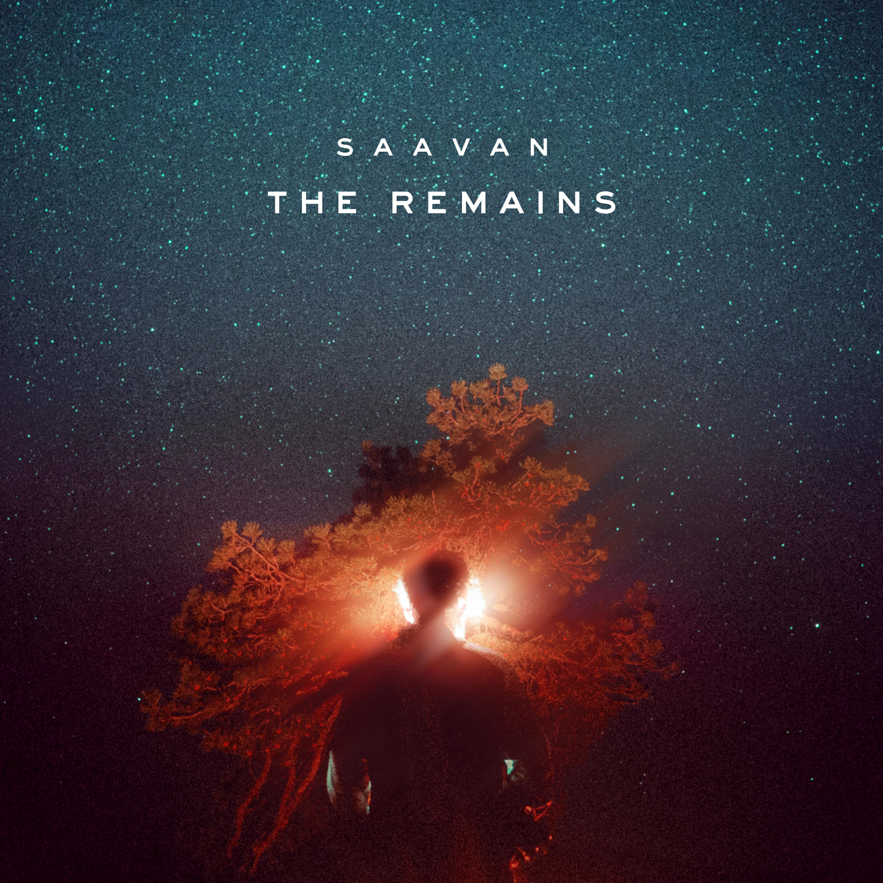 Постер альбома The Remains (A Year's Worth Of Songs)