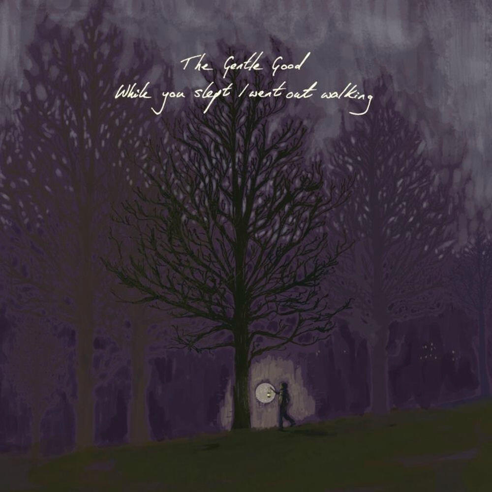 Релиз While You Slept I Went Out Walking