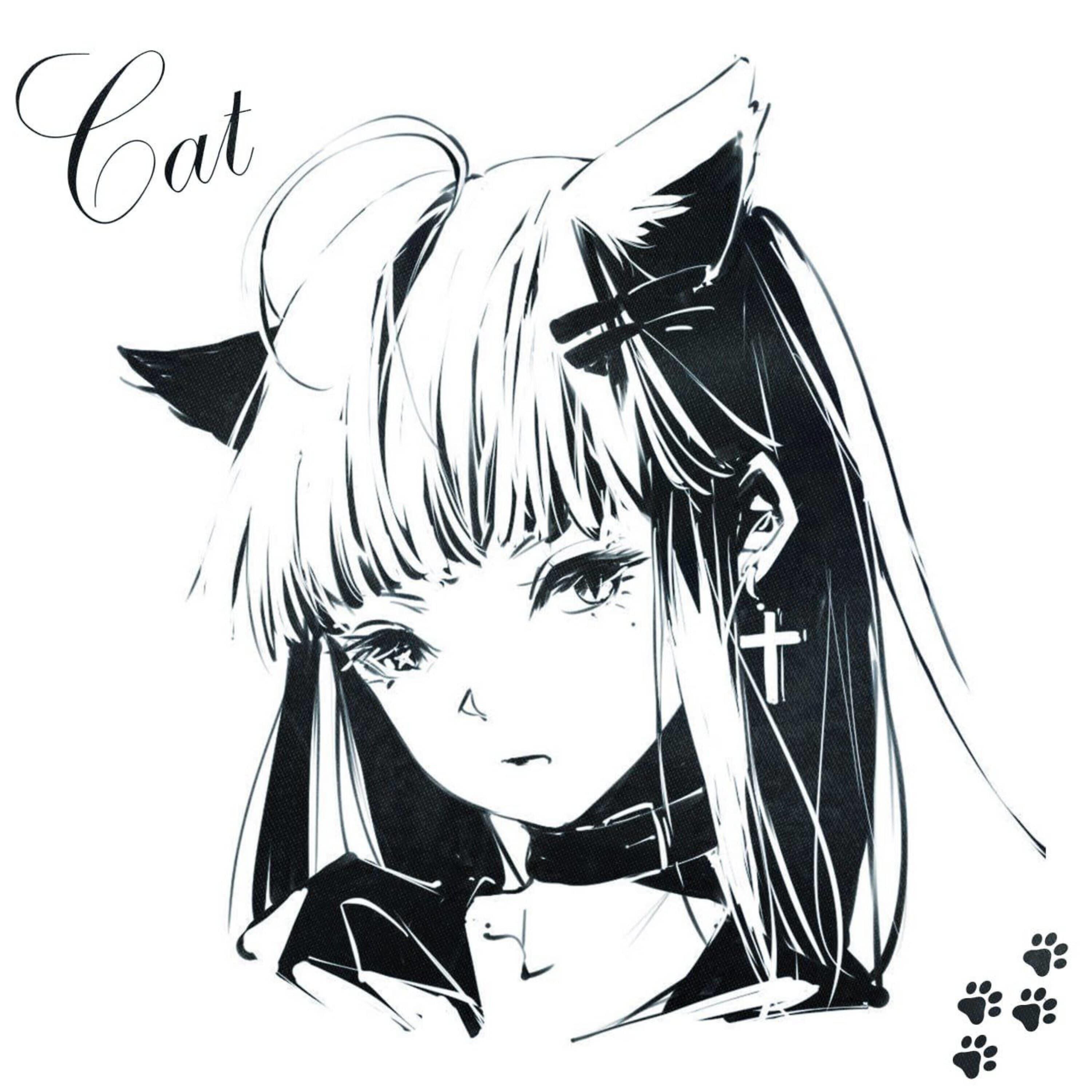 Релиз Cat