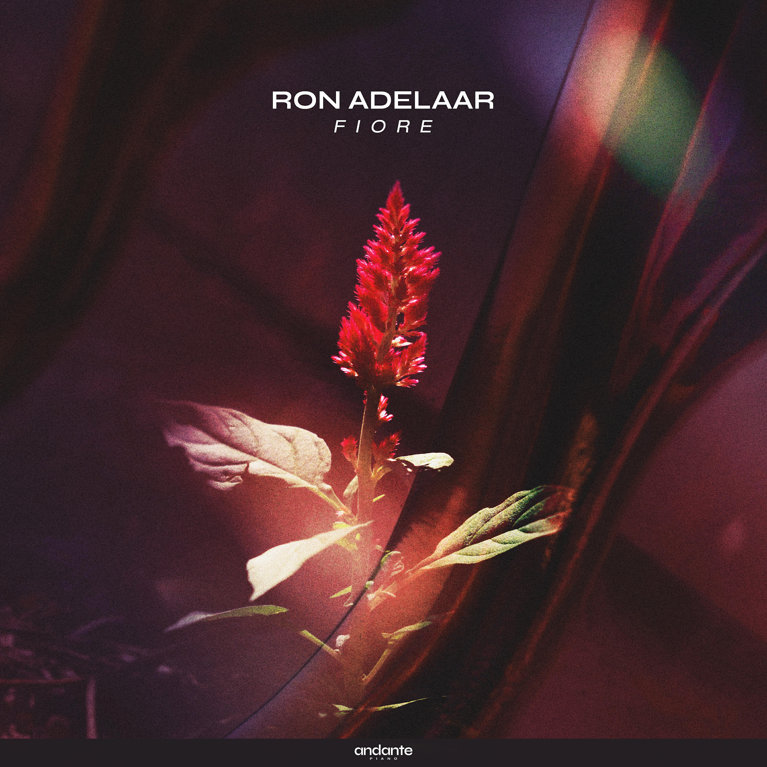 Релиз Fiore