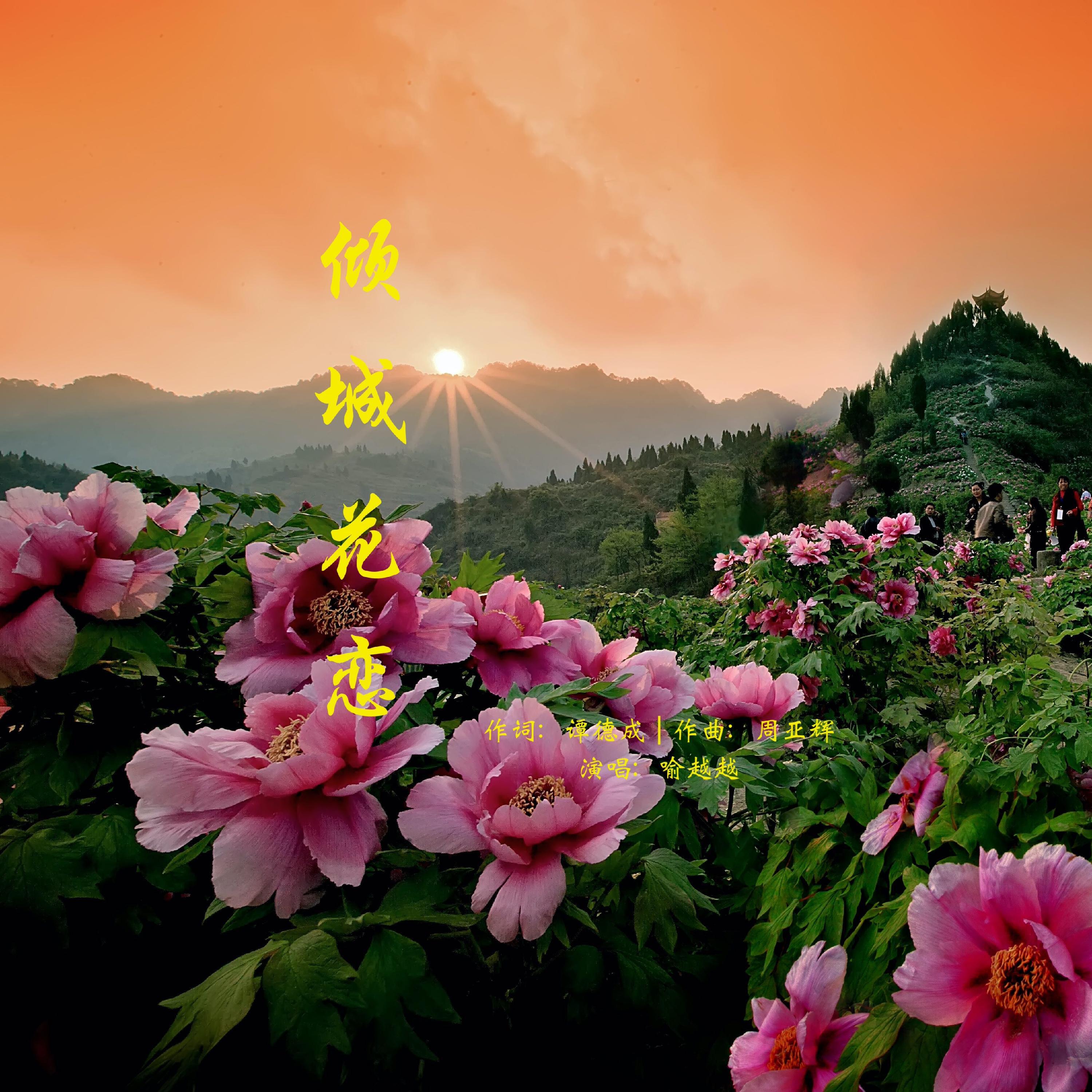 Релиз 倾城花恋