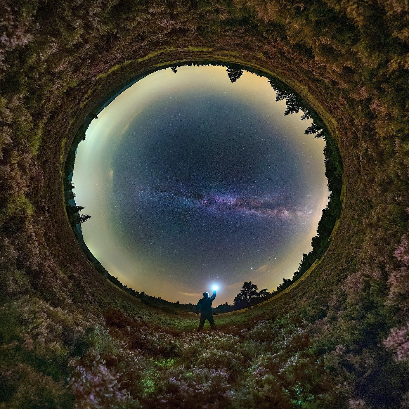 Релиз Genesis 12