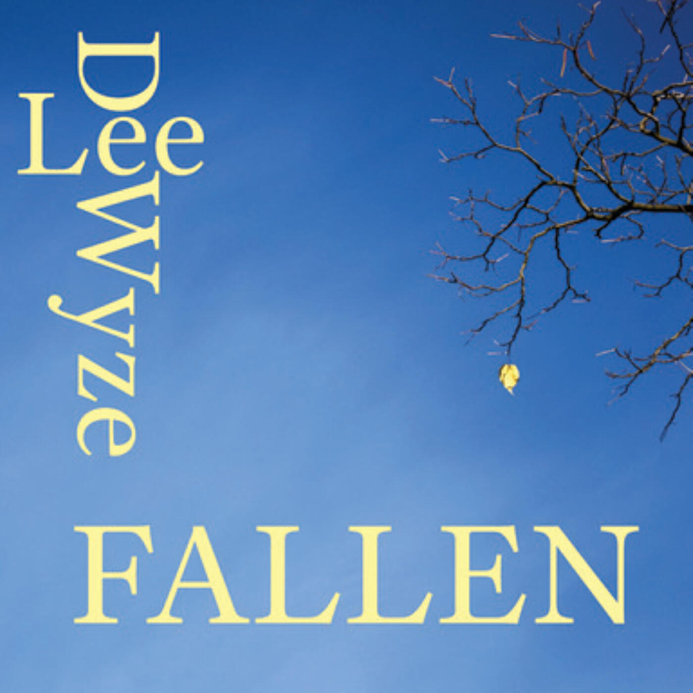 Постер альбома Fallen