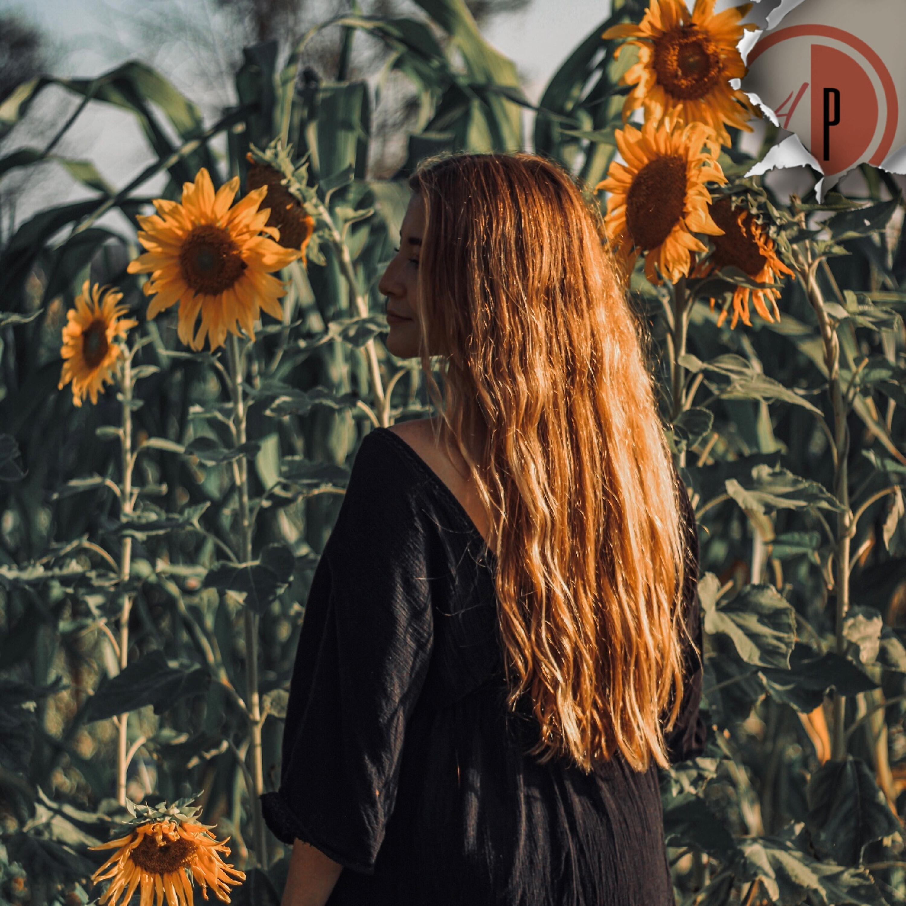 Трек La Danza del Girasol