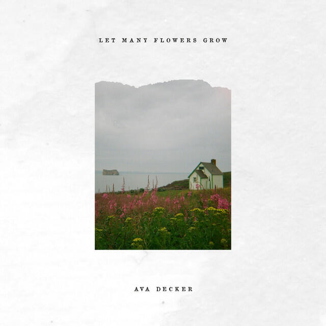 Релиз Let many flowers grow