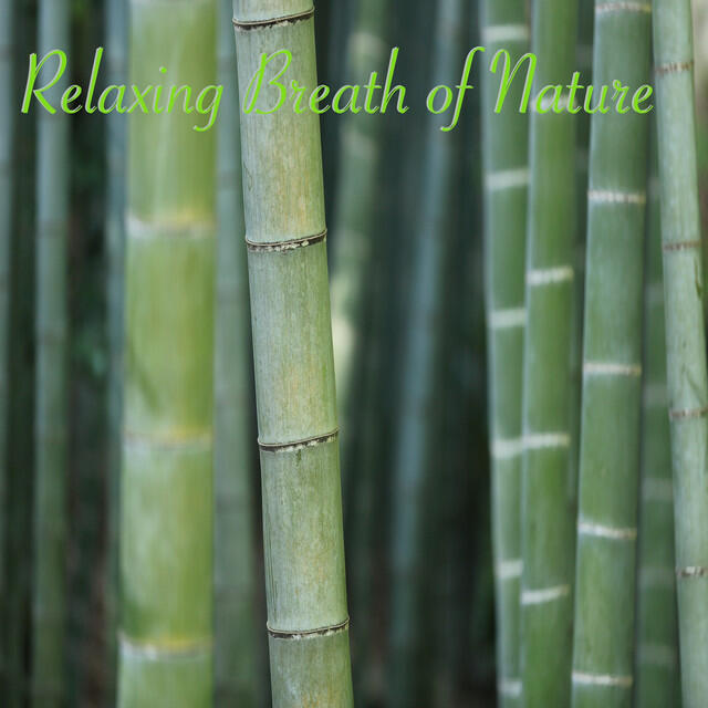 Релиз Relaxing Breath of Nature