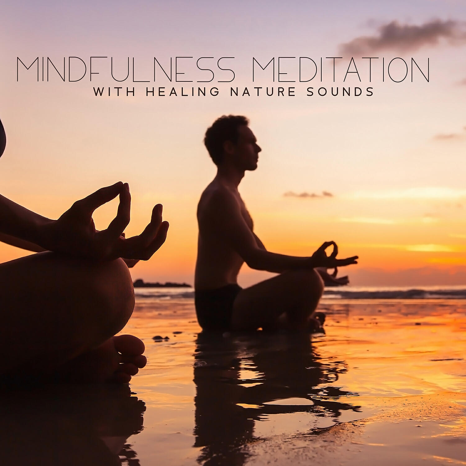 Релиз Mindfulness Meditation with Healing Nature Sounds – Tranquility, Deep Zen, Find Peace of Mind, Stress Relief, Relaxing Bird Sounds, Rain Sounds to Detox Your Mind