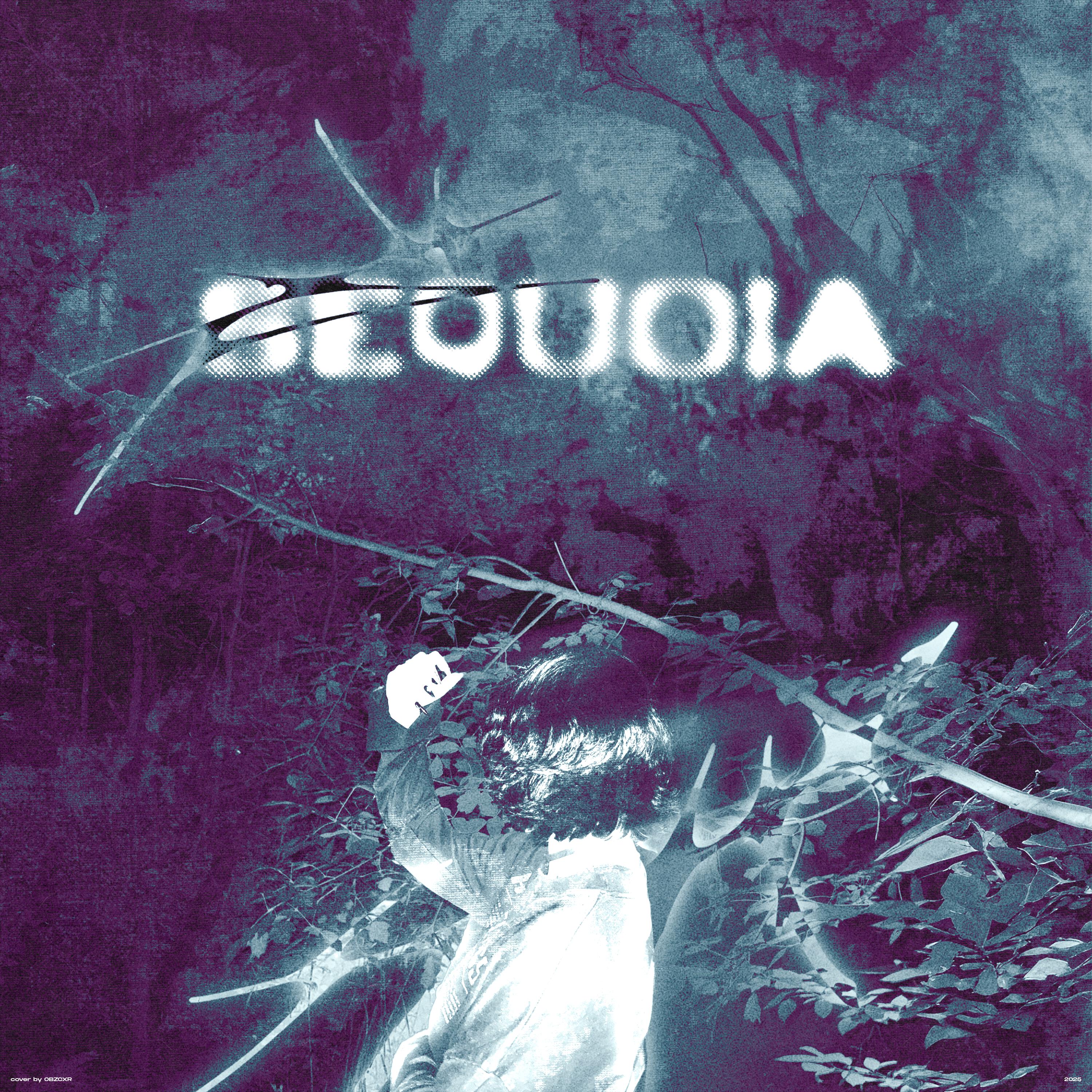 Релиз Sequoia