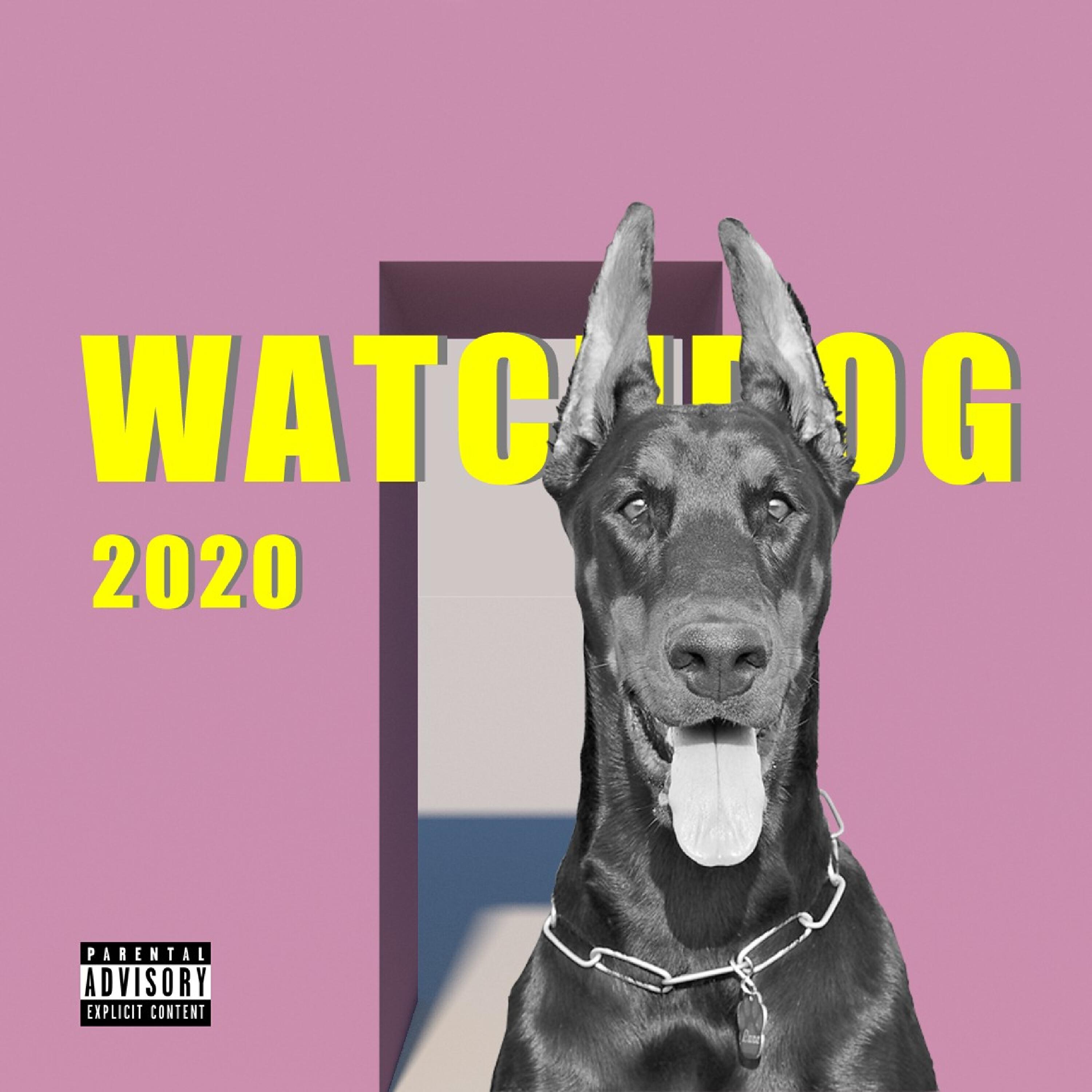 Релиз WATCHDOG 2020