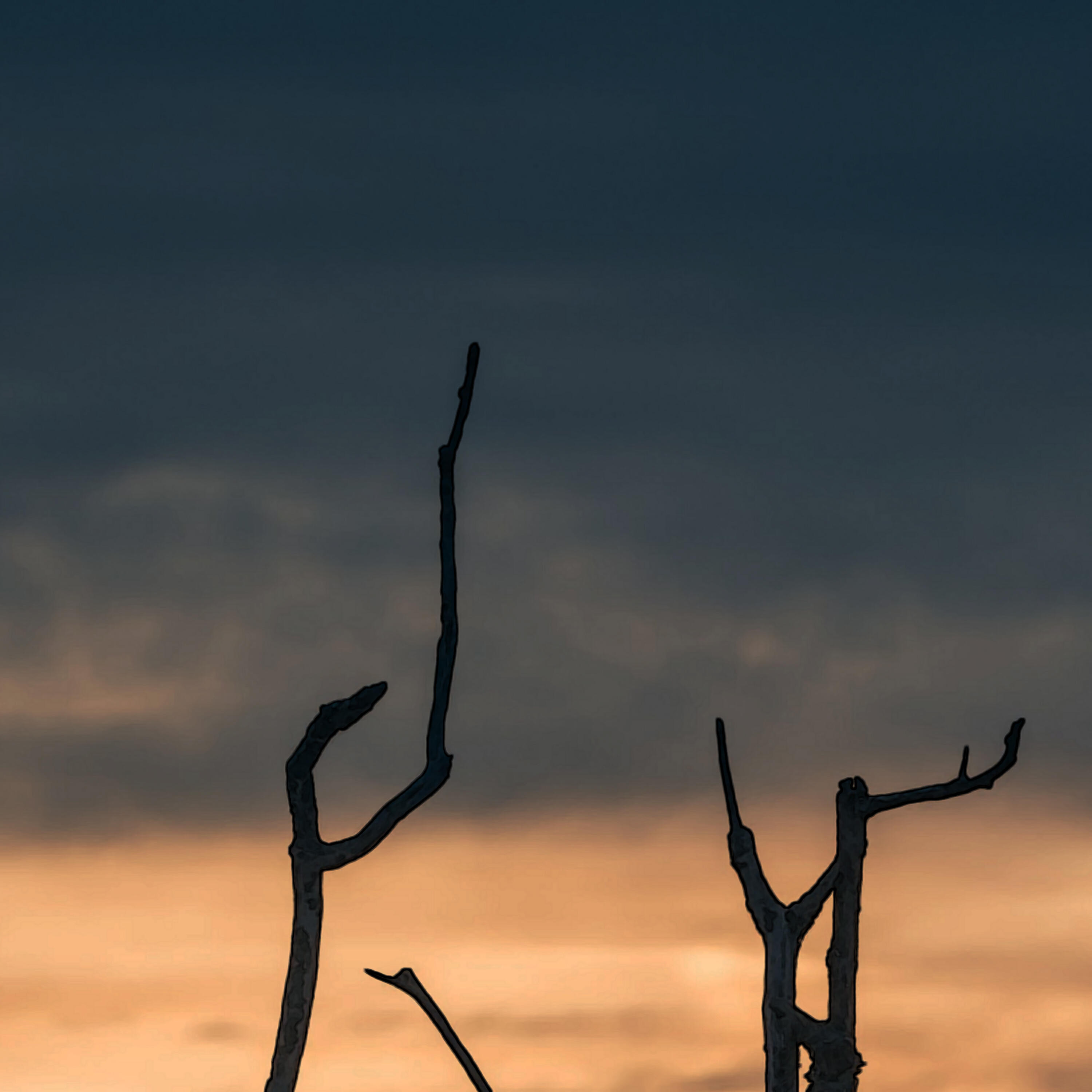 Релиз Загибель сина