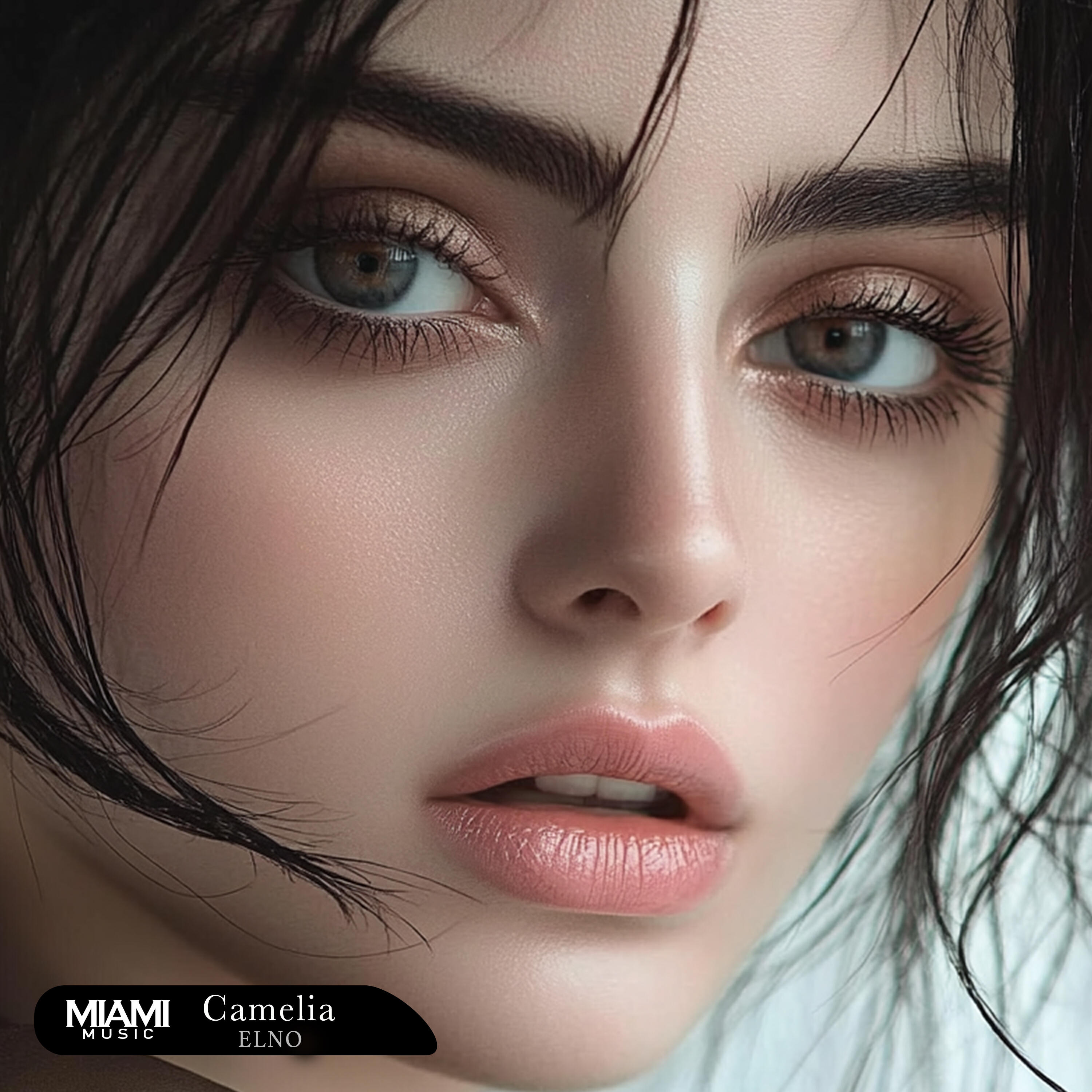 Релиз Camelia