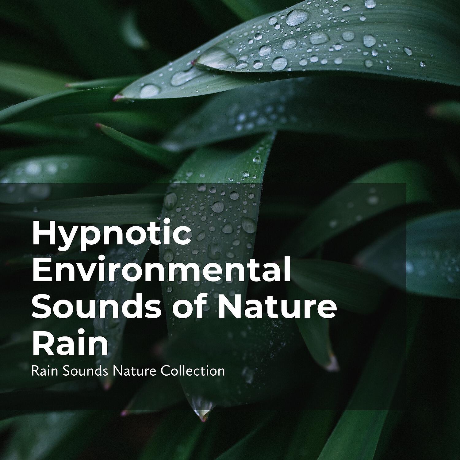 Релиз Hypnotic Environmental Sounds of Nature Rain