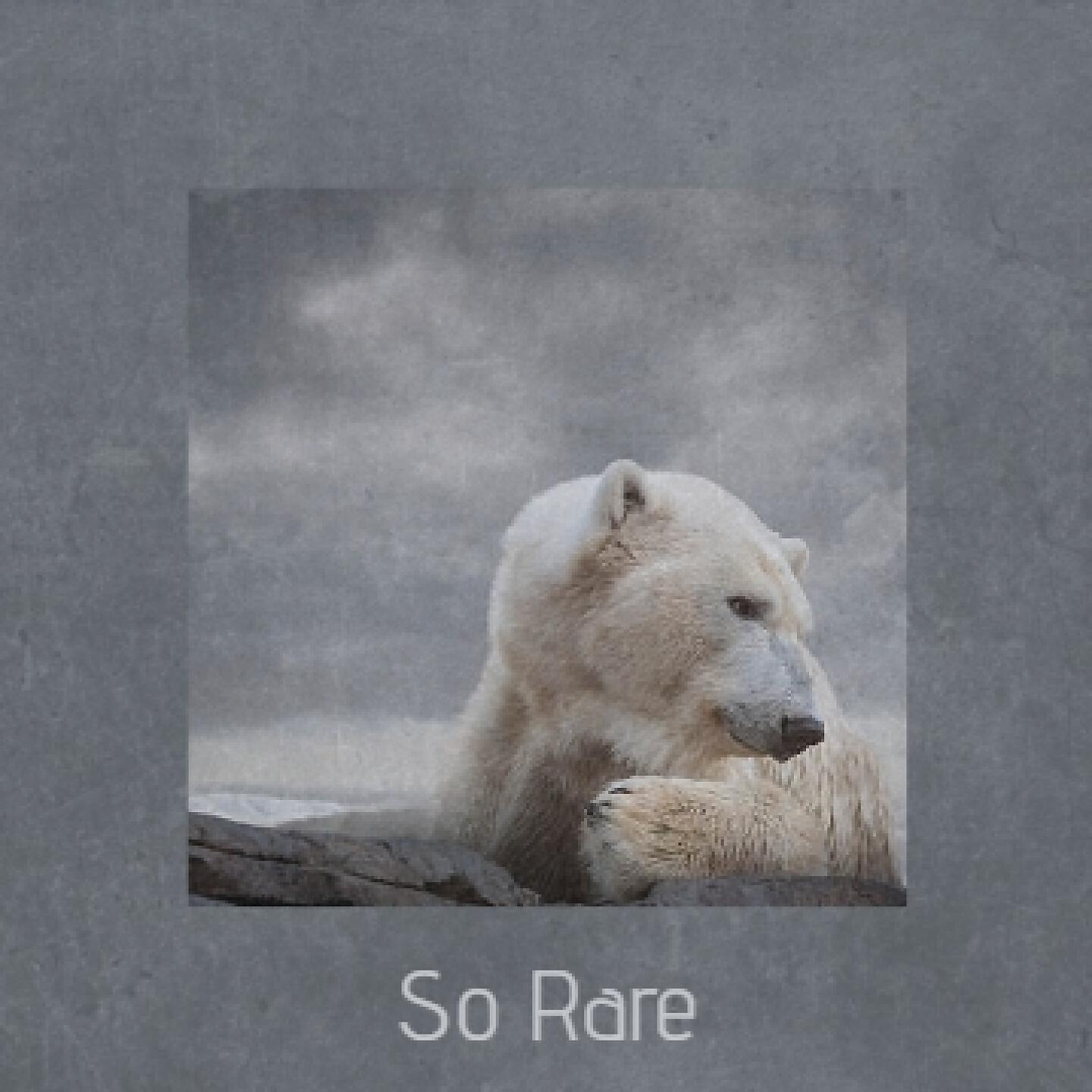 Релиз So Rare
