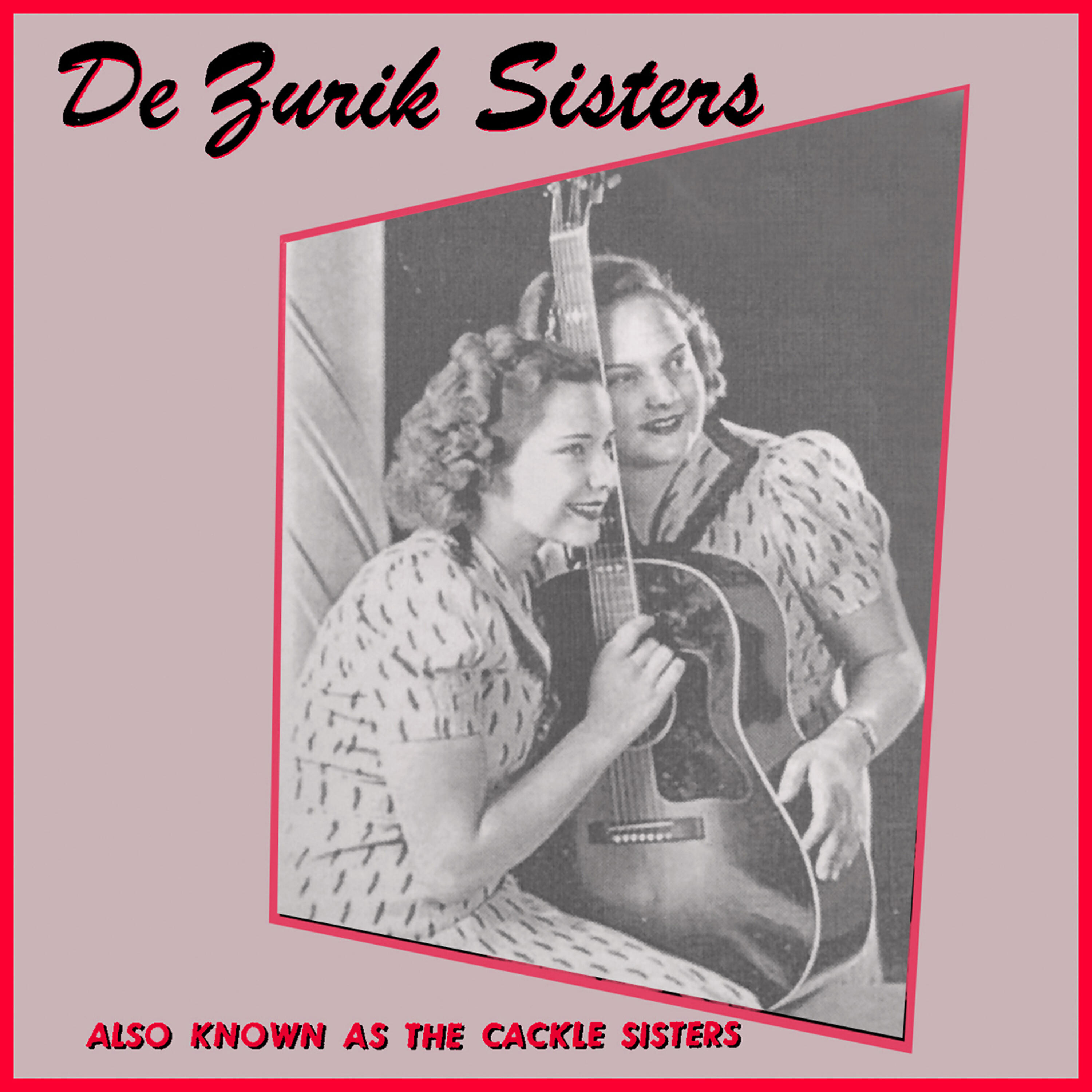De Zurik Sistems