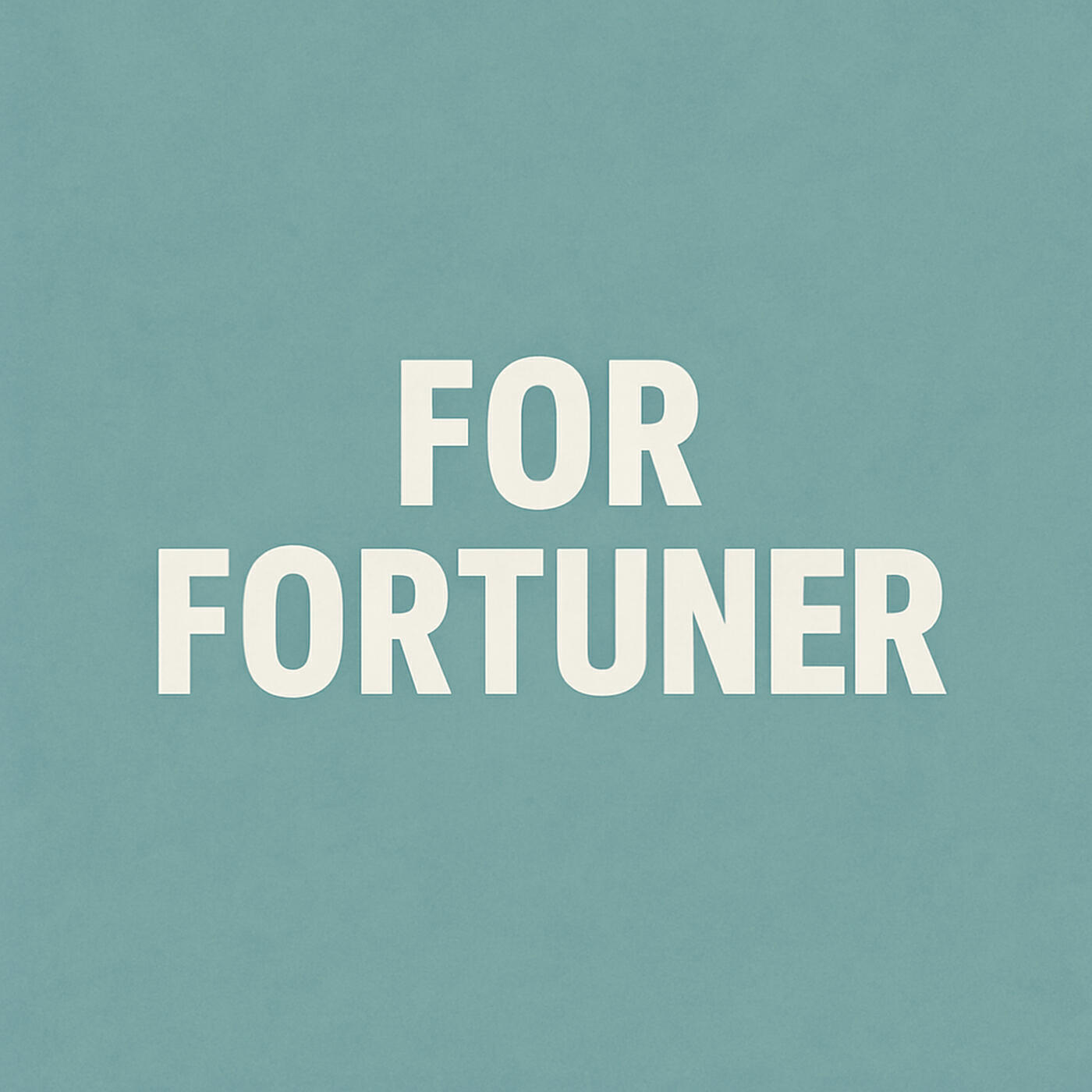 Постер альбома For Fortuner