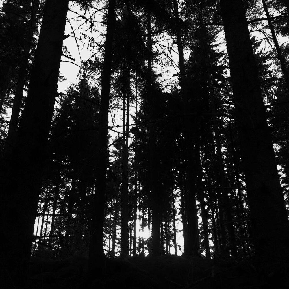 Релиз Smoke Screen Horizon