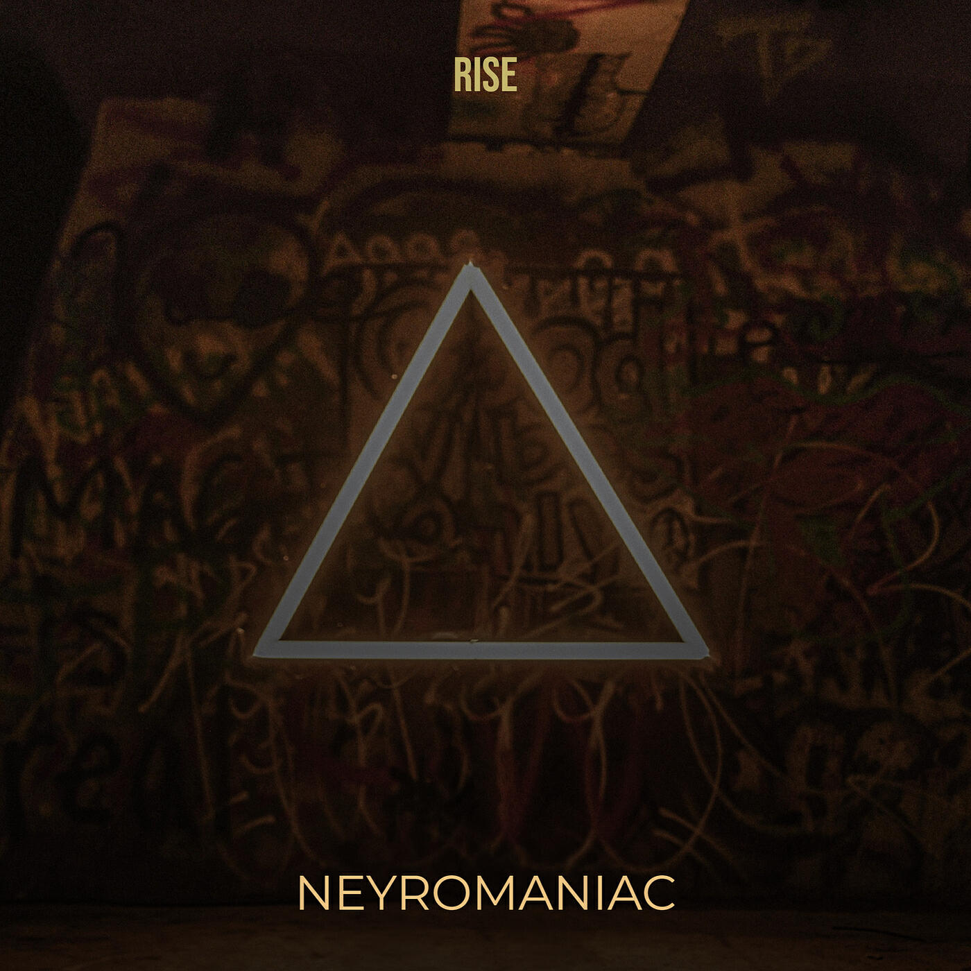 Релиз Rise