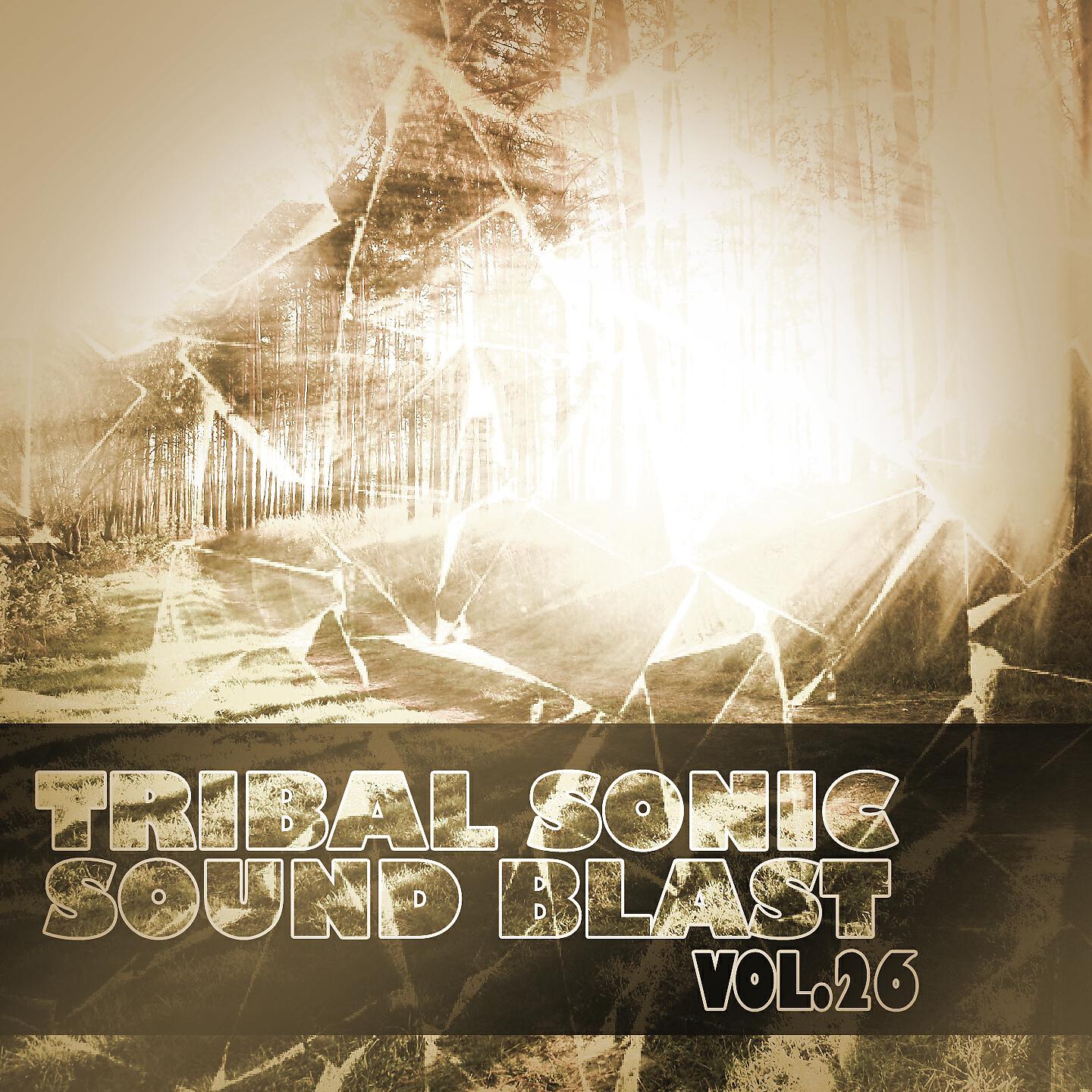 Релиз Tribal Sonic Soundblast,Vol.26
