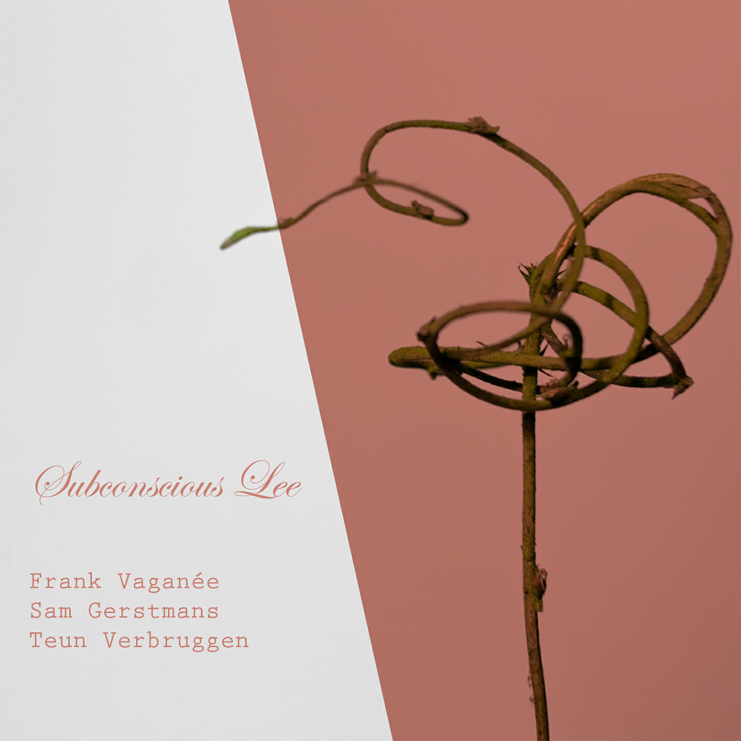 Релиз Subconscious Lee