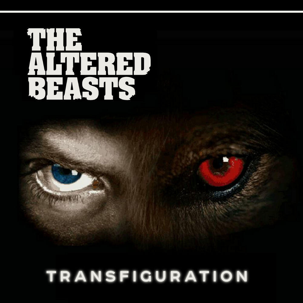 Релиз Transfiguration