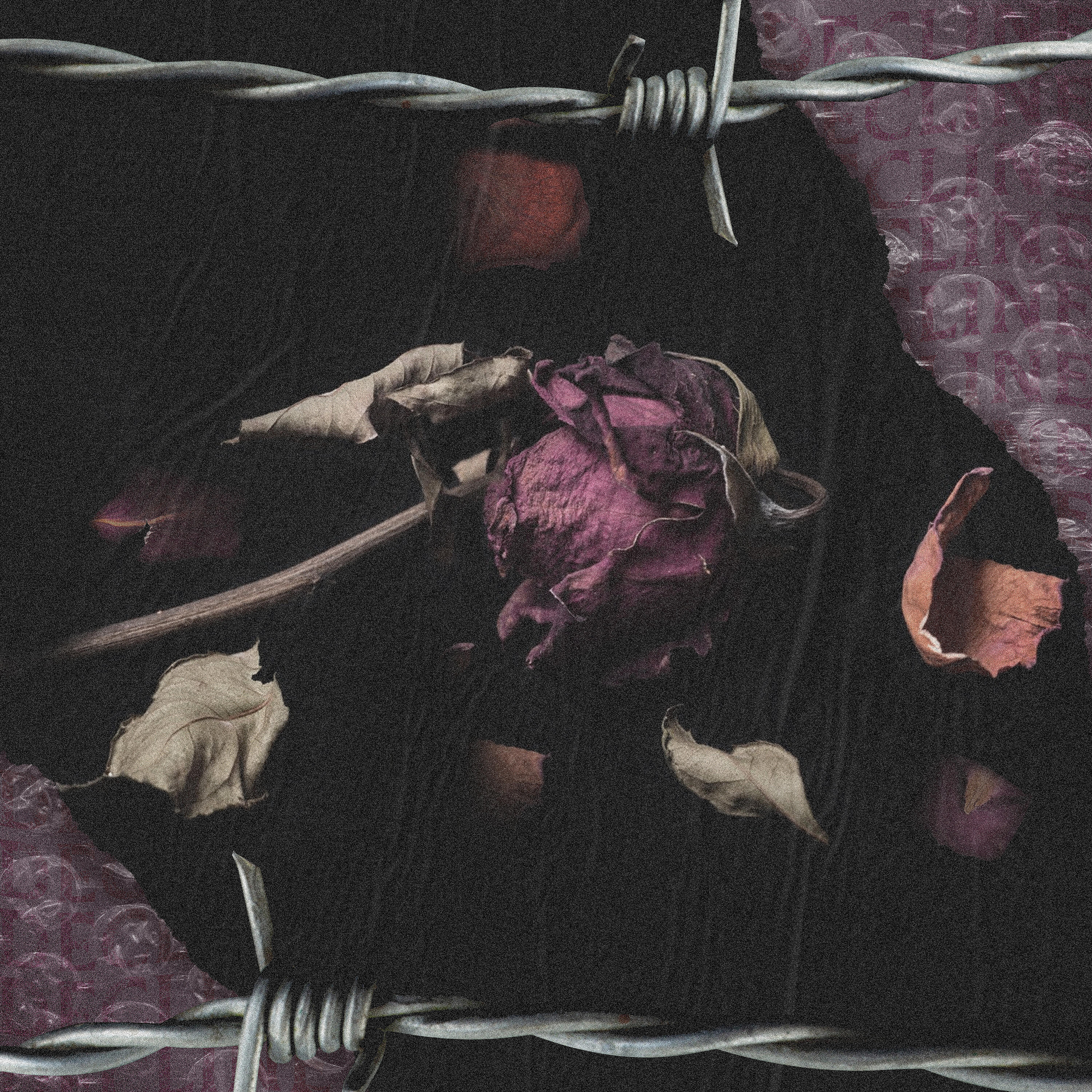 Релиз Isolation