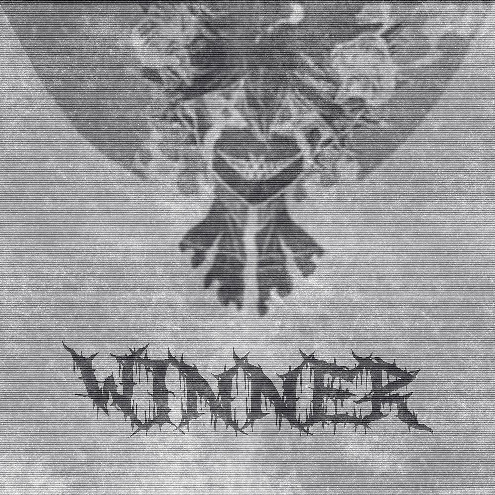Релиз Wxnner