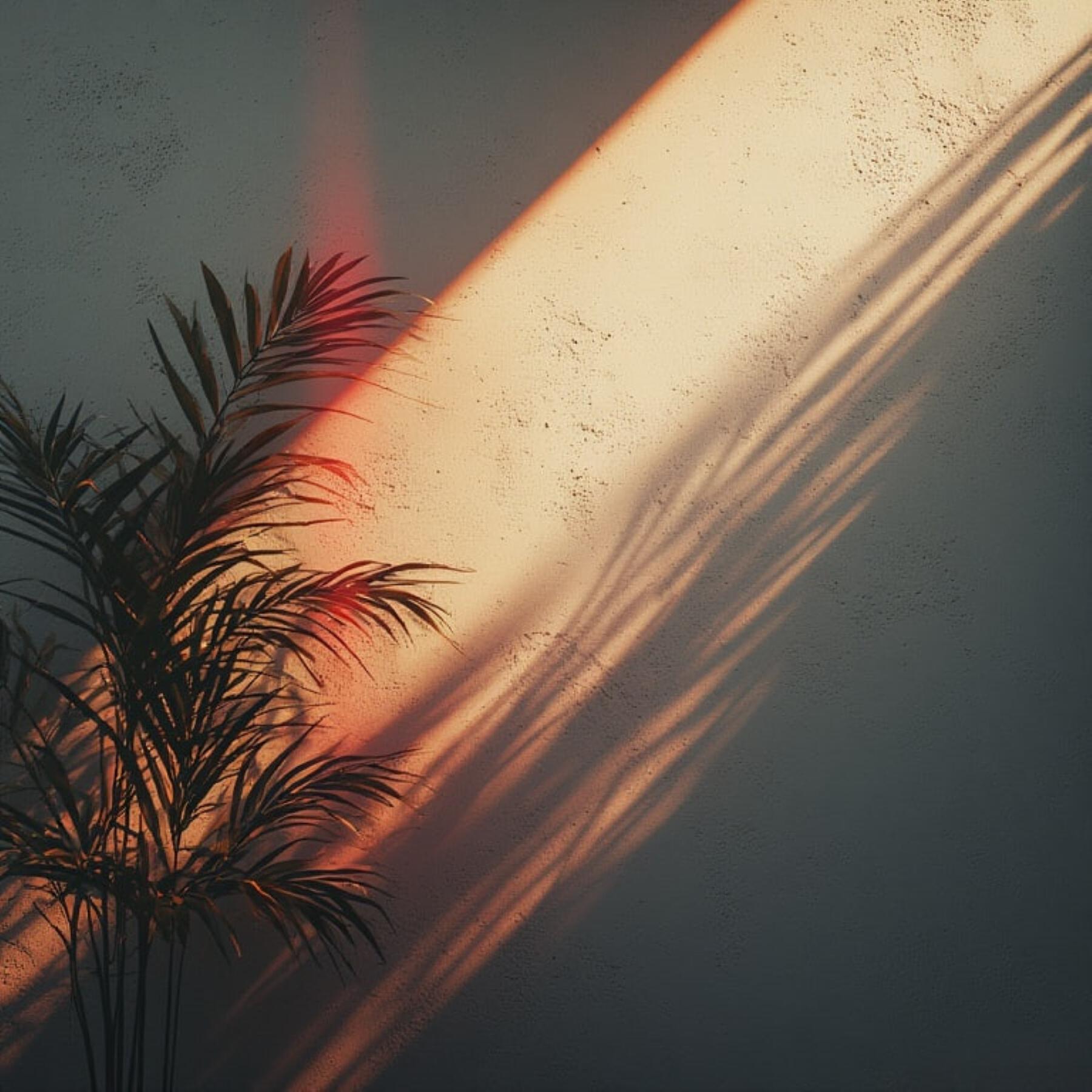 Релиз Feel the past