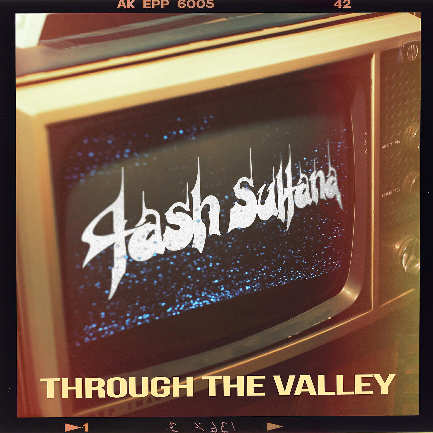 Постер альбома Through the Valley (The Last of Us Part II)