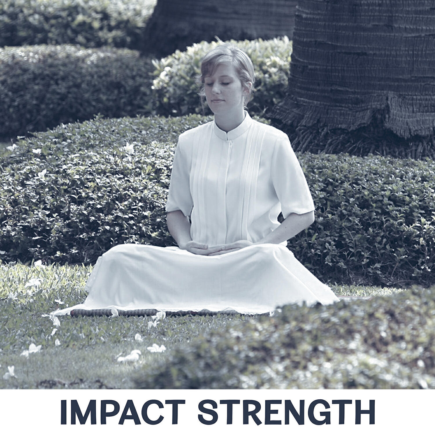 Релиз Impact Strength - Body-Free Thought, Time for Silence, Inner Strength, Asian Influence of Culture, Meditation and Yoga