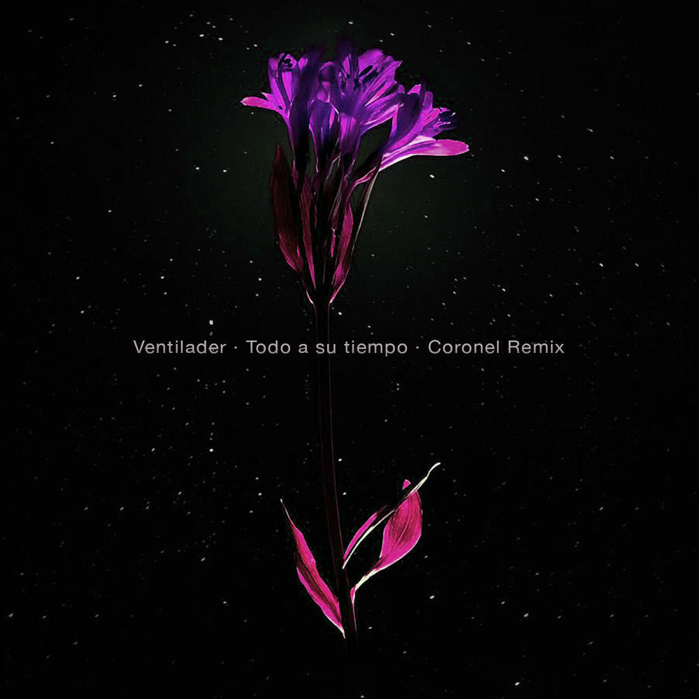 Релиз Todo a Su Tiempo (Coronel Remix)