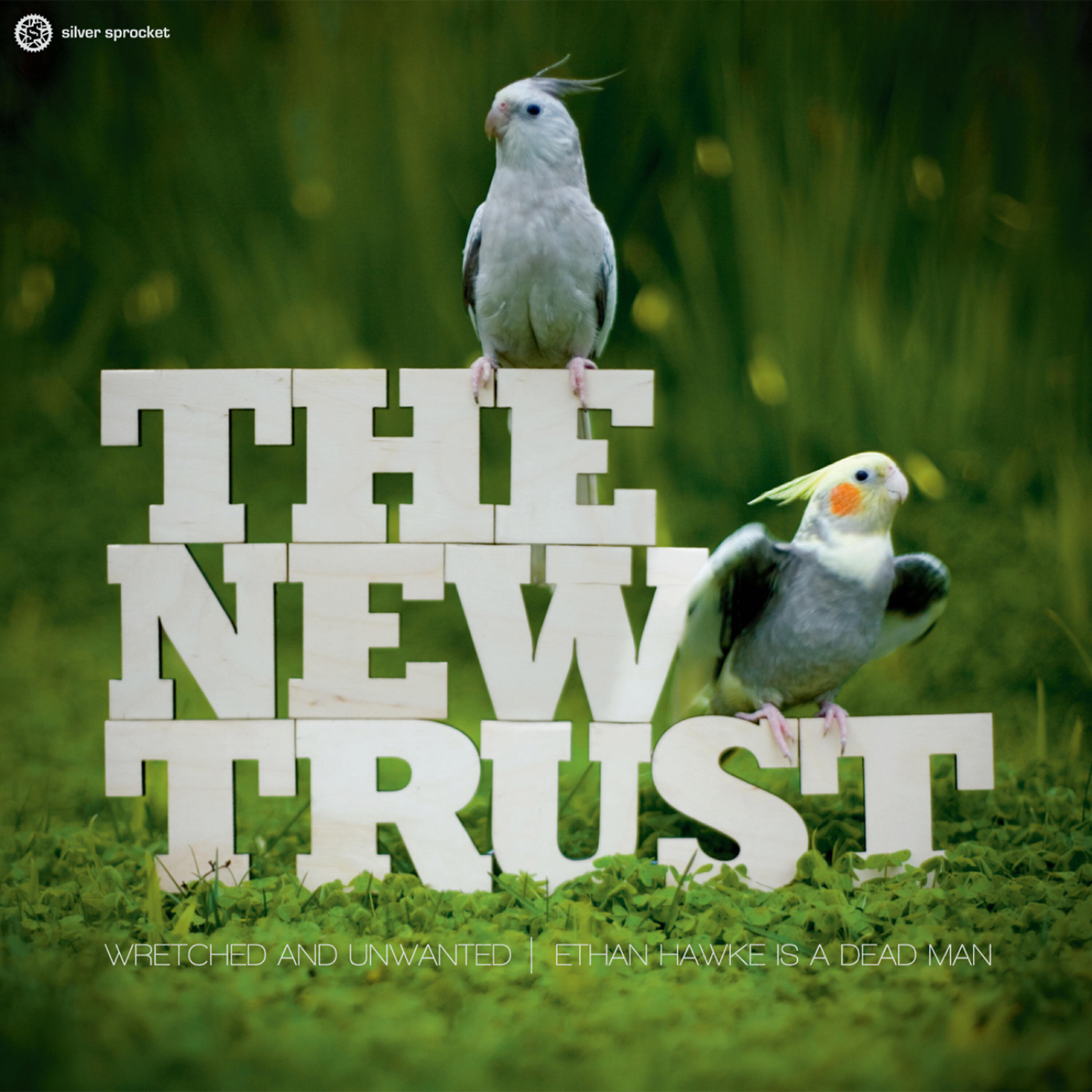 Релиз The New Trust / Pteradon - Split EP