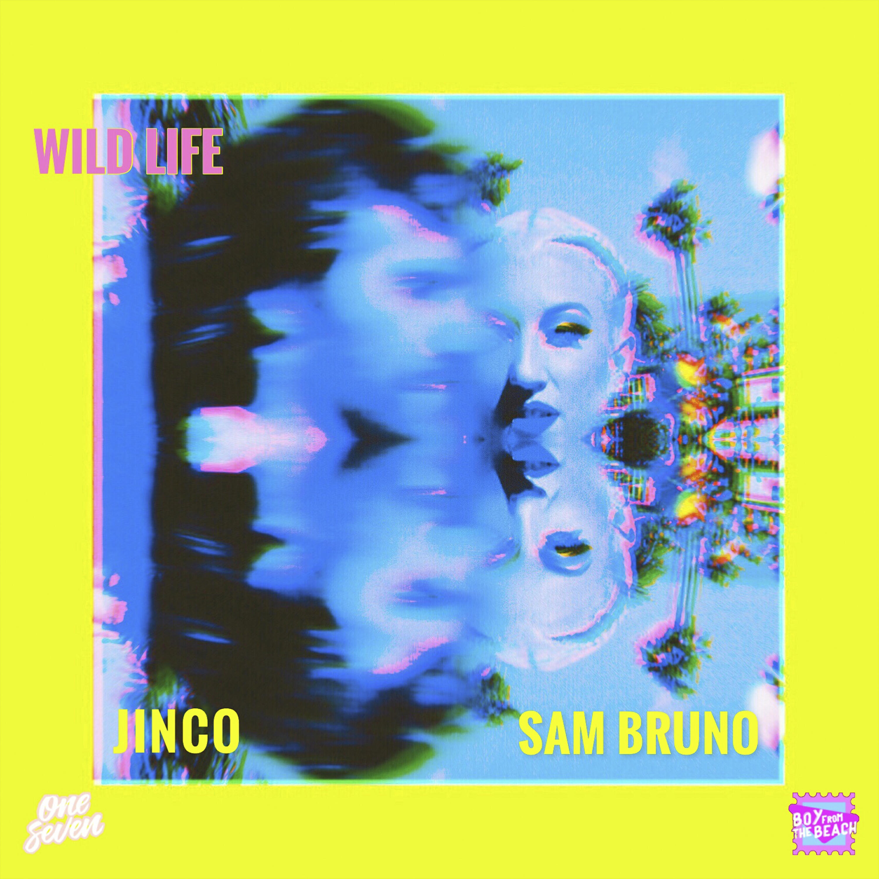 Релиз Wild Life