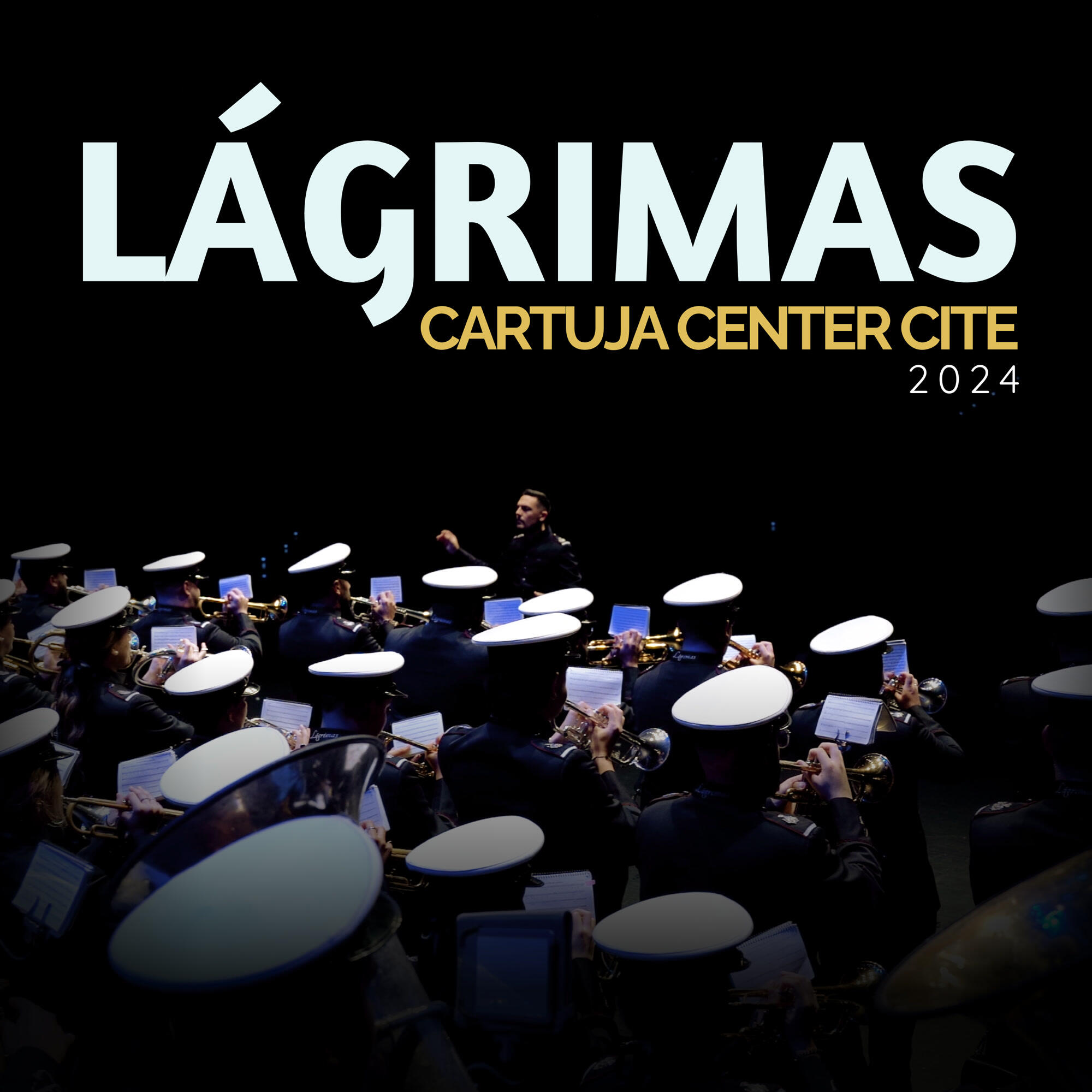 Agrupación Musical Lágrimas de Dolores