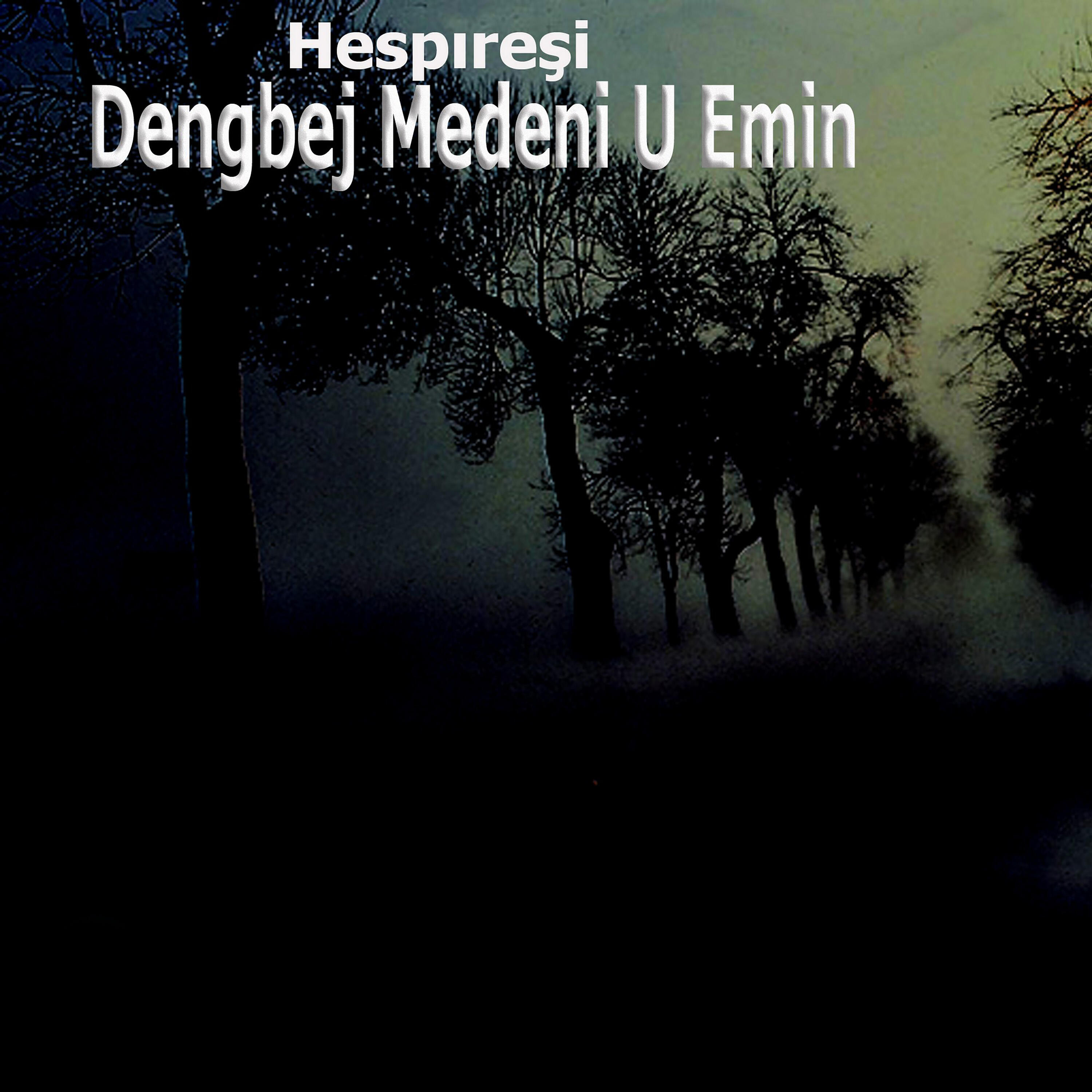 Dengbêj Medeni