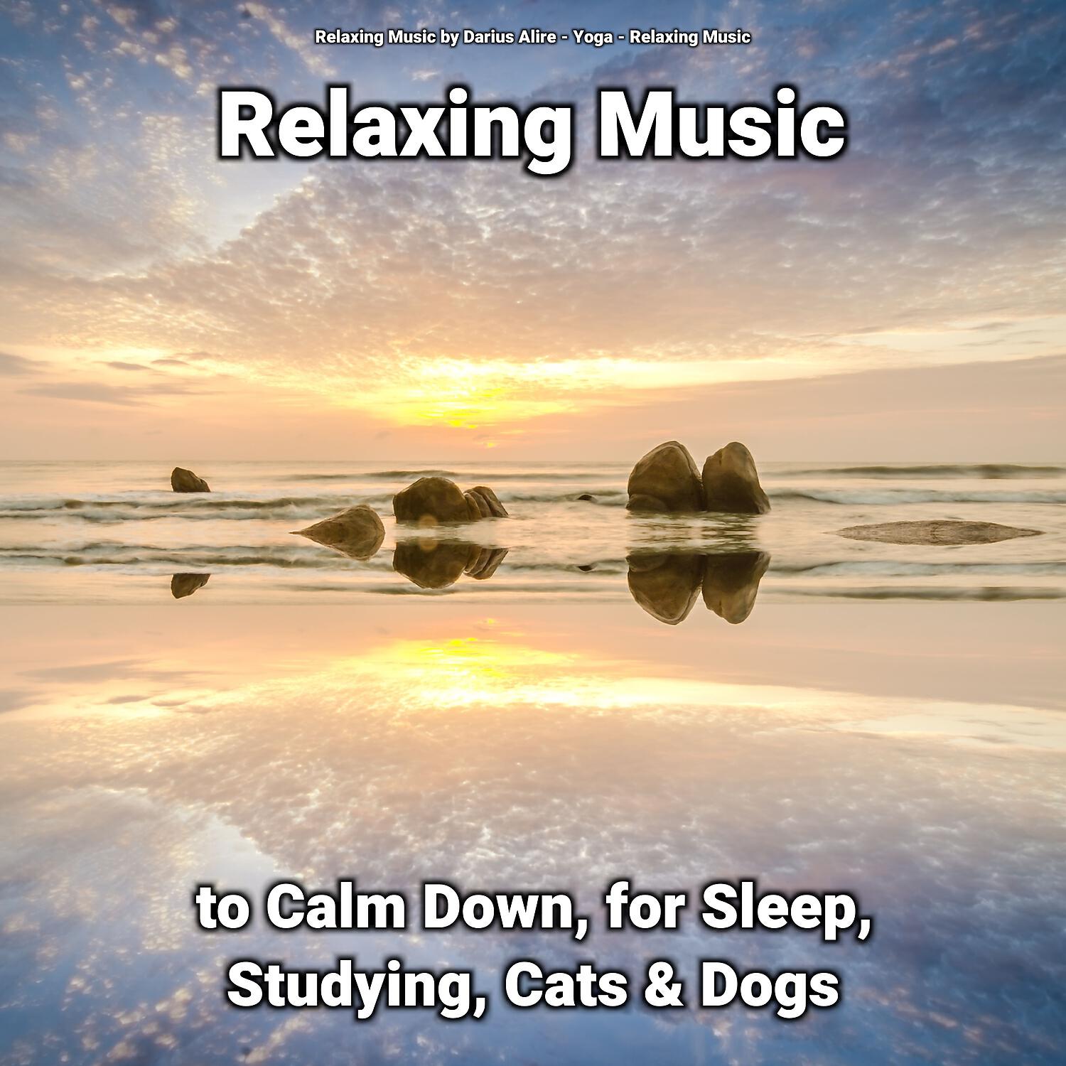 Релиз Relaxing Music to Calm Down, for Sleep, Studying, Cats & Dogs