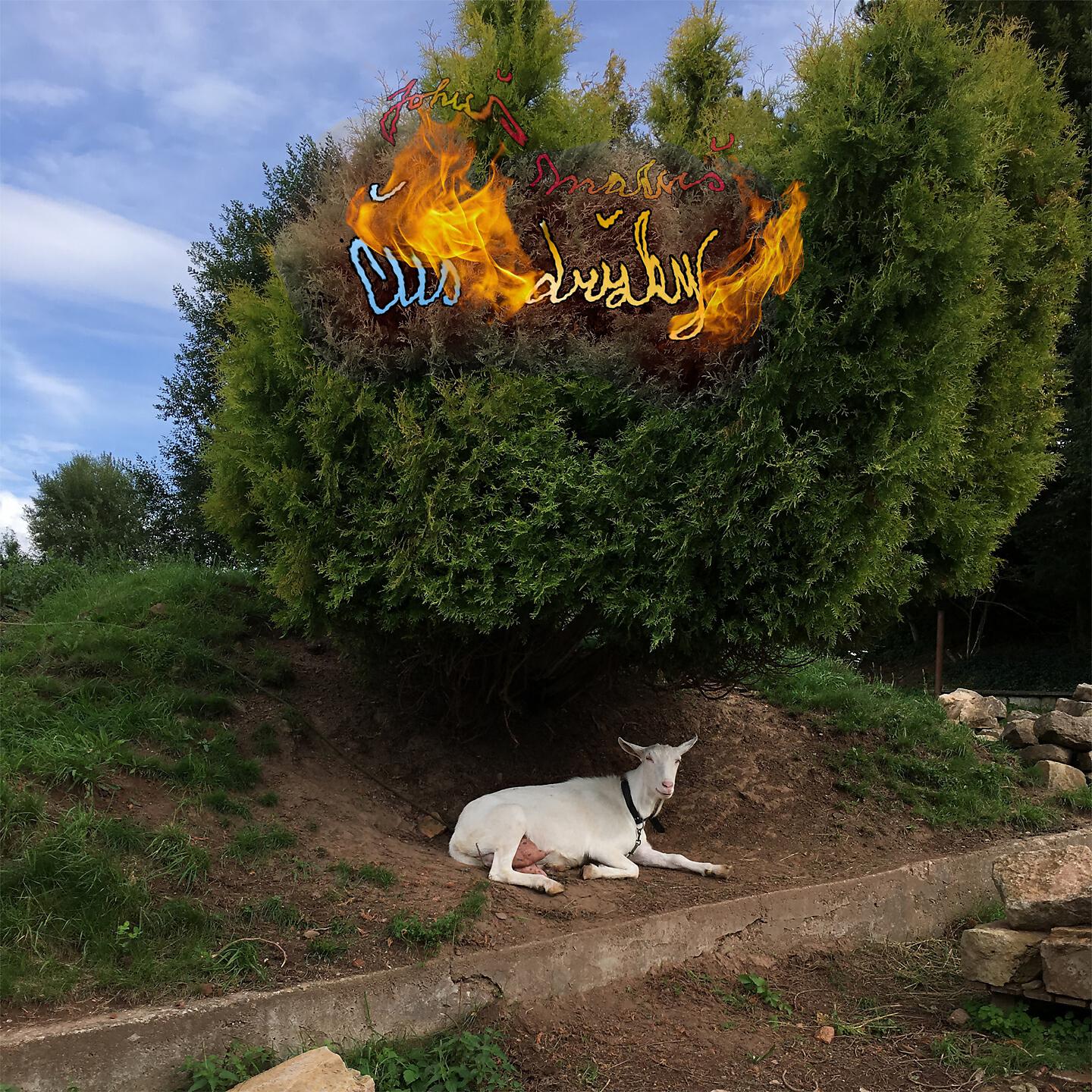 Релиз Čus držky