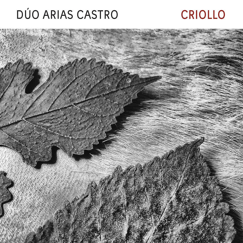 Dúo Arias Castro