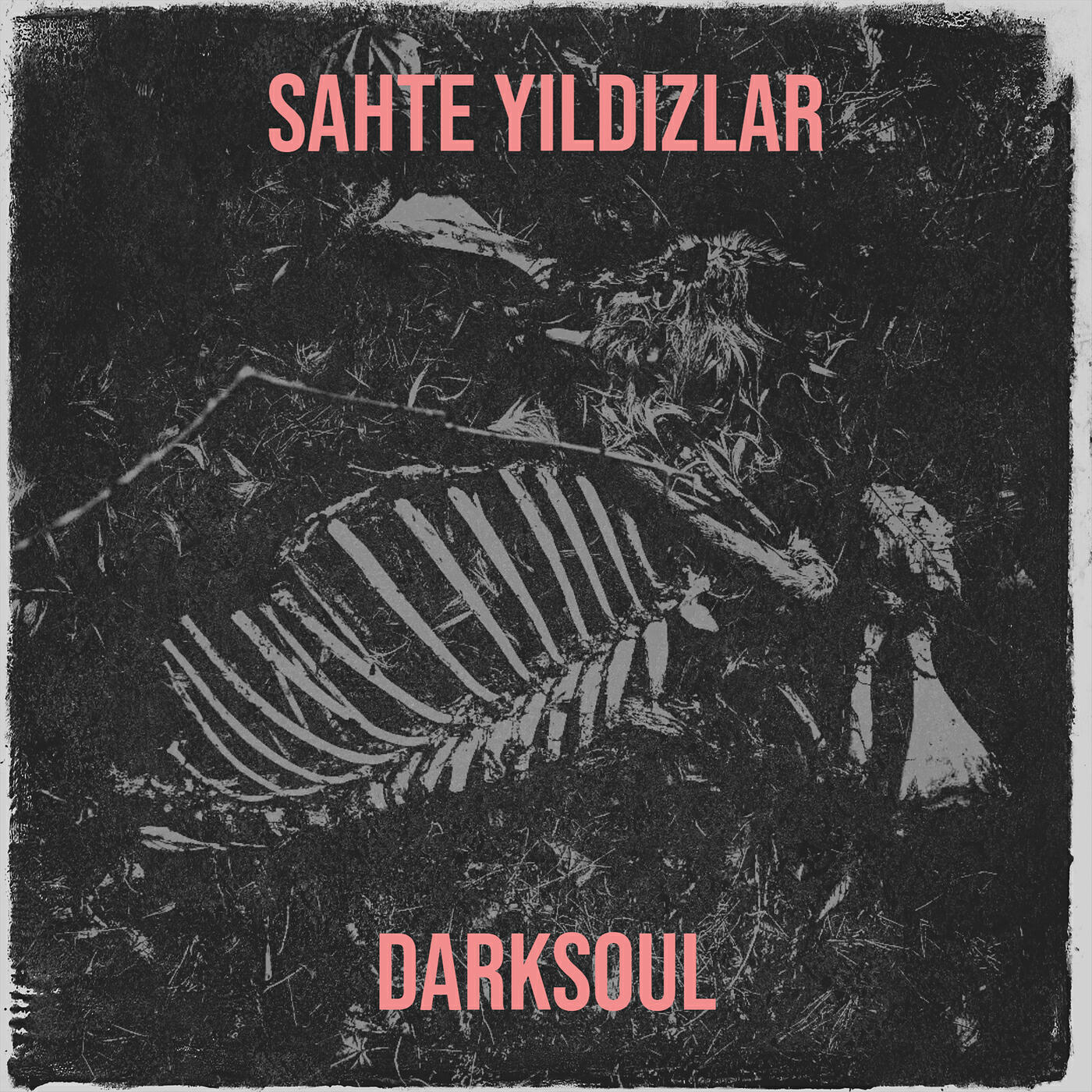 Релиз Sahte Yıldızlar