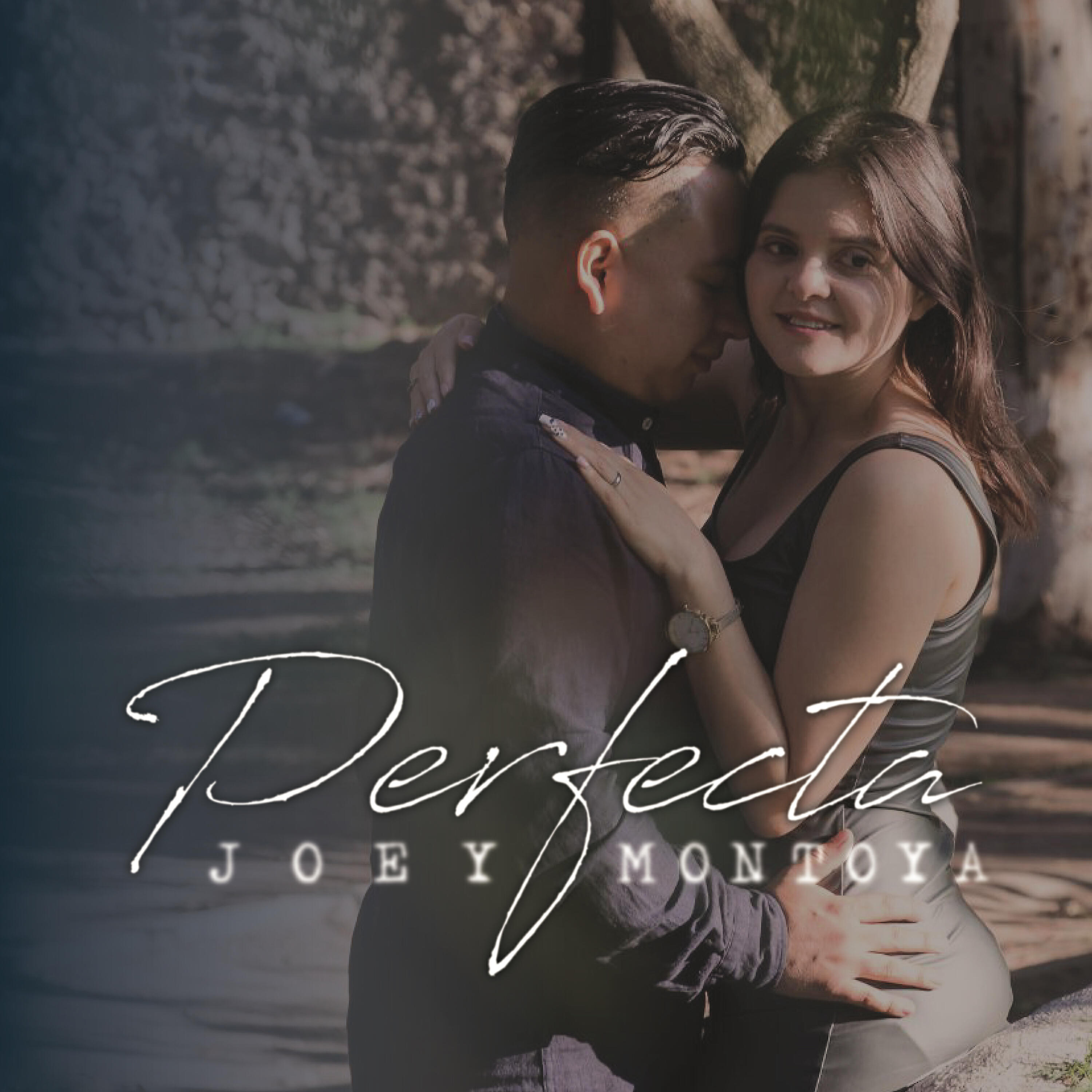 Трек Perfecta