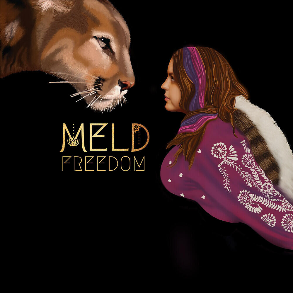 Релиз Freedom