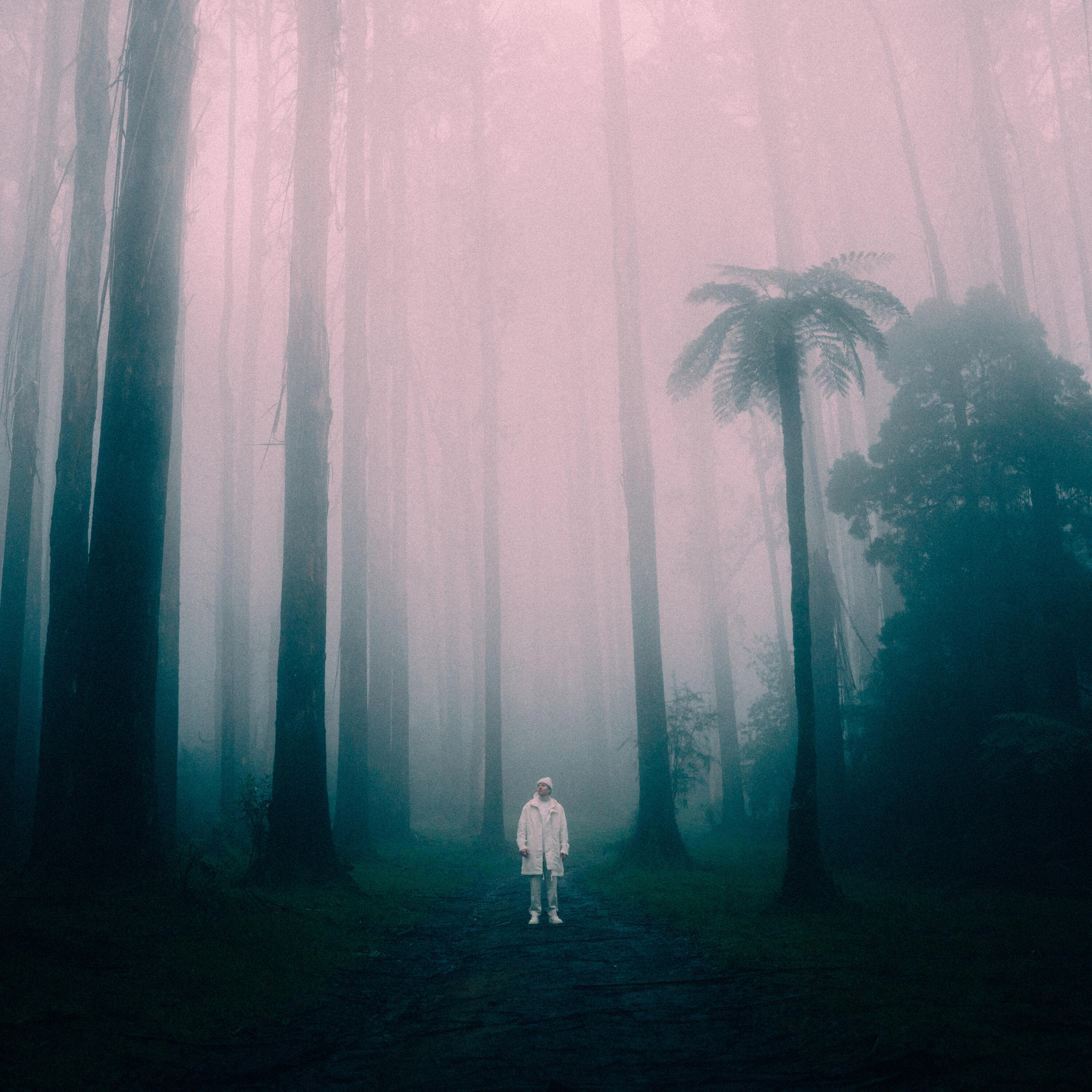 Релиз Black Spur