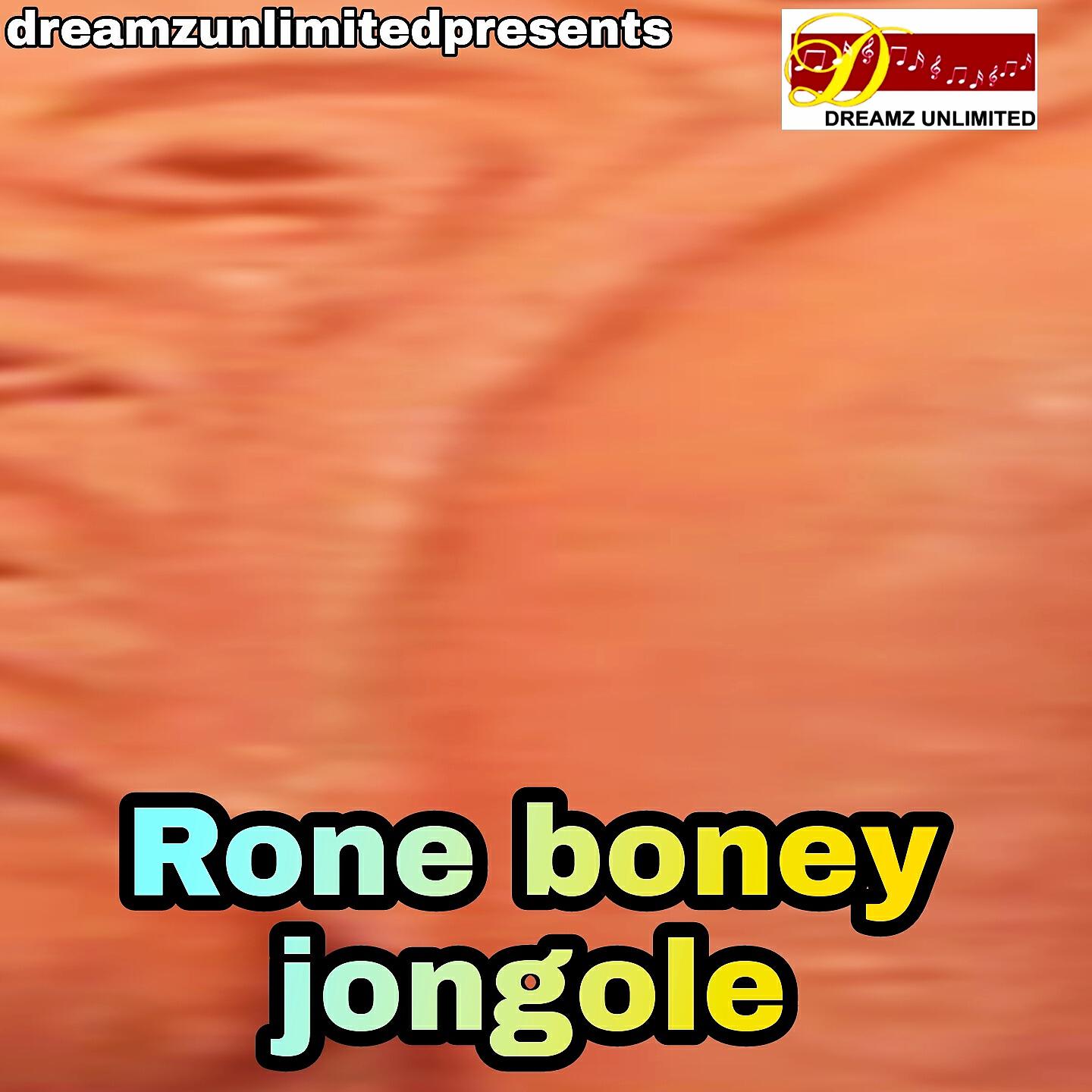 Релиз Rone Boney Jongole